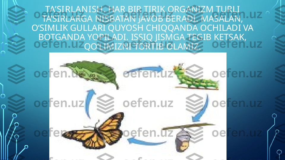 TA’SI RLA N I SH.  HAR BIR TIRIK ORGANIZM TURLI 
TA’SIRLARGA NISBATAN JAVOB BERADI. MASALAN, 
O‘SIMLIK GULLARI QUYOSH CHIQQANDA OCHILADI VA 
BOTGANDA YOPILADI. ISSIQ JISMGA TEGIB KETSAK, 
QO‘LIMIZNI TORTIB OLAMIZ.  