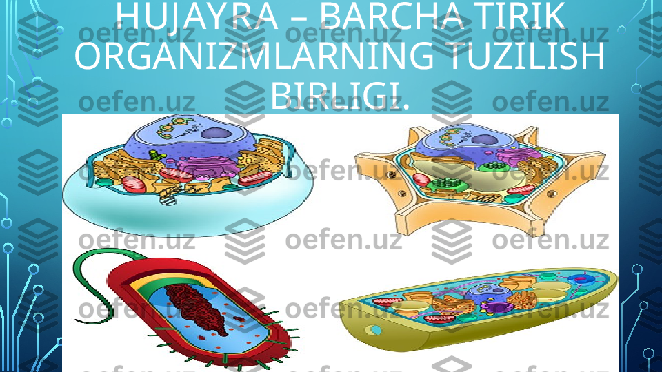 HUJ AY RA   – BARCHA TIRIK 
ORGANIZMLARNING TUZILISH 
BIRLIGI.  