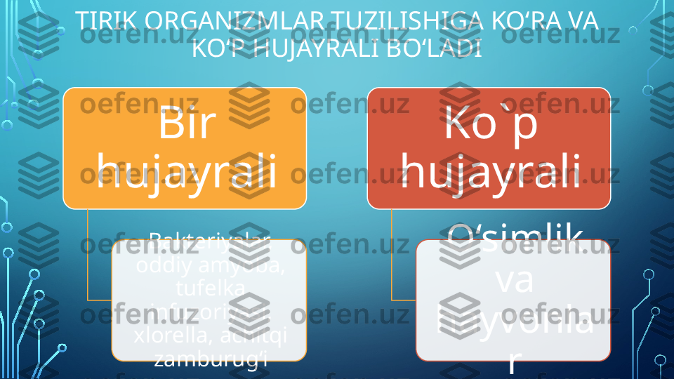 TIRIK ORGANIZMLAR TUZILISHIGA KO‘RA VA 
KO‘P HUJAYRALI  BO‘LADI
Bir 
hujayrali
Bakteriyalar, 
oddiy amyoba, 
tufelka 
infuzoriyasi, 
xlorella, achitqi 
zamburug‘i Ko`p 
hujayrali
O‘simlik 
va 
hayvonla
r    