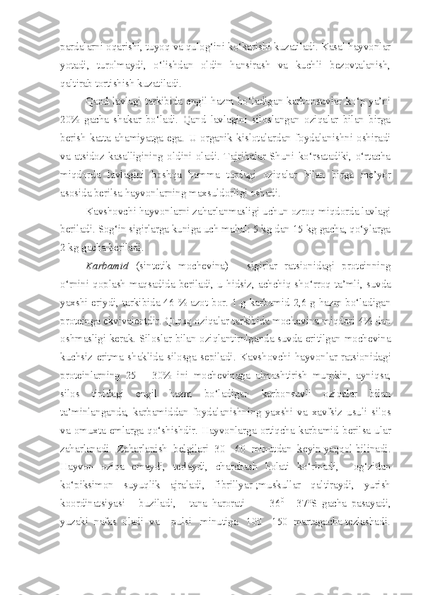 pardalarni oqarishi, tuyoq va qulog‘ini ko‘karishi kuzatiladi. Kasal hayvonlar
yotadi,   turolmaydi,   o‘lishdan   oldin   hansirash   va   kuchli   bezovtalanish,
qaltirab tortishish kuzatiladi. 
Qand lavlagi tarkibida engil hazm bo‘ladigan karbonsuvlar ko‘p ya’ni
20%   gacha   shakar   bo‘ladi.   Qand   lavlagini   siloslangan   oziqalar   bilan   birga
berish   katta   ahamiyatga   ega.   U   organik   kislotalardan   foydalanishni   oshiradi
va   ats i doz   kasalligining   oldini   oladi.   Tajribalar   Shuni   ko‘rsatadiki,   o‘rtacha
miqdorda   lavlagini   bosh q a   hamma   turdagi   ozi q alar   bilan   birga   me’yor
a sosida berilsa hayvonlarning maxsuldorligi oshadi.
Kavshovchi hayvonlarni zaharlanmasligi uchun ozroq miqdorda lavlagi
beriladi. Sog‘in sigirlarga kuniga uch mahal: 5 kg dan 15 kg gacha, qo‘ylarga
2 kg gacha beriladi.
Karbamid   (sintetik   mochevina)   -   sigirlar   ratsionidagi   proteinning
o‘rnini  qoplash   maqsadida  beriladi,  u  hidsiz,  achchiq-sh o‘r roq  ta’mli,  suvda
yaxshi eriydi, tarkibida 46   %   azot bor .   1   g karbamid 2,6 g hazm bo‘ladigan
proteinga ekvivalent dir .  Quruq oziqalar tarkibida mochevina miqdori 4% dan
oshmasligi kerak.   Siloslar bilan oziqlantirnlganda suvda eritilgan mochevina
kuchsiz   eritma   shaklida   silosga   sepiladi.   K avshovchi   hayvonlar   ratsionidagi
proteinlarning   25   –   30 %   i ni   mochevinaga   almashtirish   mumkin,   ayn i qsa,
s i los   tipidagi   engil   hazm   bo‘ladigan   karbonsuvli   oziqalar   bilan
ta’minlanganda,   karbamiddan   foydalanishning   yaxsh i   va   xavfsiz   usuli   silos
va   omuxta  em larga  qo‘shishdir.  Hayvonlarga  ortiqcha   k arbamid  berilsa  ular
zaharlanadi.  Zaharlanish  belgilari  30  -  60  minutdan  keyin yaqqol bilinadi .
Hayvon   oziqa   emaydi,   terlaydi,   charchash   holati   ko‘rinadi,     og‘zidan
ko‘ p iksimon     suyuqlik     ajraladi,     fibrillyar ;muskullar     qaltiraydi,     yurish
koord i natsiyasi       buziladi,       tana   harorati         +36 0
  -   37°S   gacha   pasayadi,
yuzaki  nafas  oladi  va    pulsi   minutiga   100 - 150  martagacha tezlashadi. 