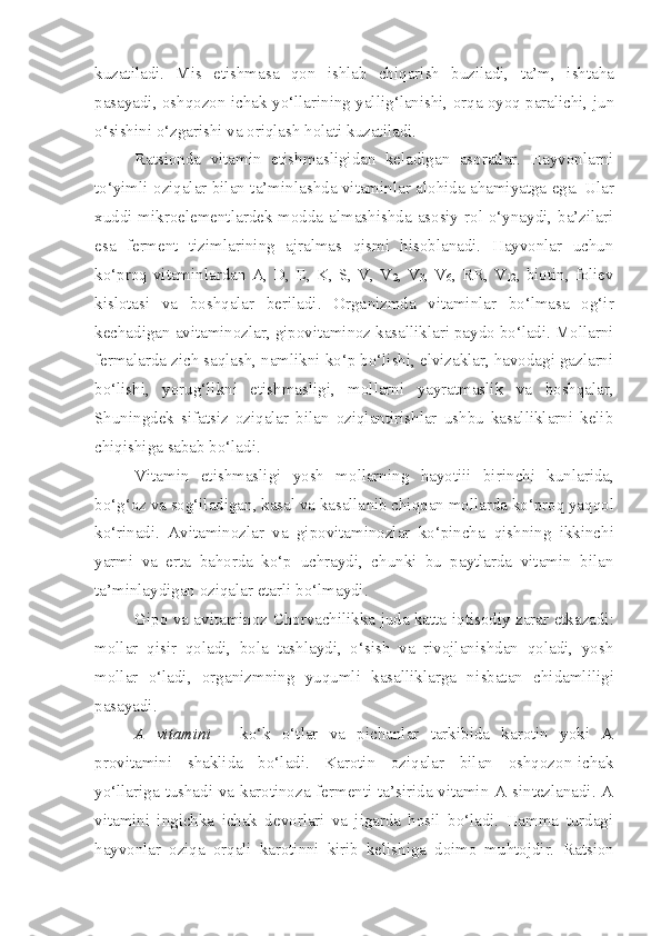 kuzatiladi.   M i s   etishmasa   qon   i shlab   chiq ari sh   buziladi,   ta’m ,   ishtaha
pasayadi, oshqozon-ichak yo‘llari n ing yalli g‘ lanishi, or q a oyoq paralichi, ju n
o‘sishini o‘zgar i shi va oriqlash hol at i kuzatilad i .
Ratsionda   vitamin   et i shmasligidan   keladigan   asoratlar.   Hayvonlarni
to‘yimli oziqalar bilan ta’m inlashda   vitam i nlar alo h ida ahamiyatga ega. Ular
xuddi mikroelementlardek modda almashishda asosiy rol o‘ynaydi, ba’zilari
esa   ferment   tizim larining   ajralmas   qismi   hisoblanadi.   Hayvonlar   uchun
ko‘proq   vitaminlardan   A,   D,   E,  K,   S,   V,   V
2 ,  V
3 ,  V
6 ,  RR,   V
12 ,  biotin,   foliev
kislotasi   va   boshqalar   beriladi.   Orga n izmda   vitaminlar   bo‘lmasa   og‘ir
kechadigan avitaminozlar, gipovitaminoz kasalliklari paydo bo‘ladi. Mollarni
fermalarda zich saqlash, namlikni ko‘p bo‘lishi, elvizaklar, havodagi gazlarni
bo‘lishi,   yorug‘likni   etishmaslig i ,   mollarni   yayratmaslik   va   boshqalar,
Shuningdek   sifatsiz   oziqalar   bilan   oziqlantirishlar   ushbu   kasalliklarni   kelib
chiqishiga sabab bo‘ladi.
Vitami n   etishmasligi   yosh   mollarning   hayotiii   bir i nchi   kunlarida,
bo‘g‘oz va sog‘iladigan, kasal va kasalla ni b chiqqa n  mollarda ko‘proq ya qq ol
ko‘ri n adi.   Avitaminozlar   va   gipovitaminozlar   ko‘pincha   q ishning   ikkinchi
yarmi   va   erta   bahorda   ko‘p   uchraydi,   chunki   bu   paytlarda   vitamin   bilan
ta’mi n laydigan oziqalar etarli bo‘lmaydi .
Gipo va avitaminoz Chorvachilikka juda katta i q tisodiy zarar etkazadi:
mollar   q i sir   qoladi,   bola   tashlaydi,   o‘sish   va   rivojlanishdan   qoladi,   yosh
m ollar   o‘ladi,   organizmning   yuqumli   kasalliklarga   ni s batan   chidamliligi
pasayadi.
A   vitamini   -   ko‘k   o‘tlar   va   pichanlar   tarkibida   karotin   yoki   A
provitamini   shaklida   bo‘ladi.   Karotin   oziqalar   bilan   oshqozon-ichak
yo‘llariga tushadi va karotinoza fermenti ta’sirida vitamin A sintezlanadi. A
vitamini   ingichka   ichak   devorlari   va   jigarda   hosil   bo‘ladi.   Hamma   turdagi
hayvonlar   oziqa   orqali   karotinni   kirib   kelishiga   doimo   muhtojdir.   Ratsion 