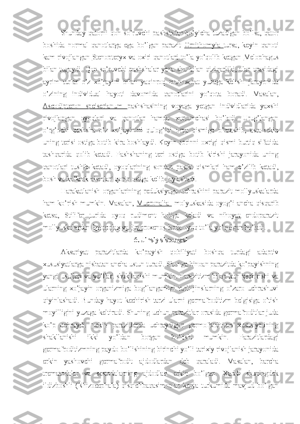 Shunday   qatorni   qon   so’ruvchi   pashshalar   bo’yicha   tuzadigan   bo’lsa,   qator
boshida   normal   qanotlarga   ega   bo’lgan   parazit   Ornithomyia   tursa,   keyin   qanoti
kam rivojlangan   Stenopteryx   va oxiri qanotlari to’la yo’qolib ketgan   Melophagus
bilan  tugaydi.  Qon  so’ruvchi   pashshalar   yana  shu  bilan  qiziqarliki,  ular   orasidagi
ayrim   turlar   o’z   xo’jayini   bilan   yaqinroq   munosabat   yuzaga   kelishi   jarayonida
o’zining   individual   hayoti   davomida   qanotlarini   yo’qota   boradi.   Masalan,
Ascodipteron   speiserianum   pashshasining   voyaga   yetgan   individlarida   yaxshi
rivojlangan   oyoqlari   va   qanotlar   hamda   xartumchasi   bo’ladi.   Urug’langan
o’rg’ochi   pashsha   o’z   xo’jayinini   qulog’ini   orqa   qismiga   o’rnashib,   asta-sekin
uning terisi  ostiga botib kira boshlaydi. Keyin qorinni oxrigi qismi burtiq sifatida
tashqarida   qolib   ketadi.   Pashshaning   teri   ostiga   botib   kirishi   jarayonida   uning
qanotlari   tushib   ketadi,   oyoqlarining   sondan   pastki   qismlari   ham   o’zilib   ketadi,
bosh va ko’krak qismlari qorin ostiga kelib joylashadi.
Harakatlanish   organlarining   reduksiyaga   uchrashini   parazit   mollyuskalarda
ham   ko’rish   mumkin.   Masalan,   Mucronalia     molyuskasida   oyog’i   ancha   qisqarib
ketsa,   Stilifer   turida   oyoq   rudiment   holiga   keladi   va   nihoyat   endoparazit
mollyuskalardan  Entocolax va Enteroxenos  larda oyoq to’la yo’qolgan bo’ladi.
6. Jinsiy sistemasi
Aksariyat   parazitlarda   ko’payish   qobiliyati   boshqa   turdagi   adaptiv
xususiyatlarga nisbatan ancha ustun turadi. Shunga binoan parazitda ko’payishning
yangi usullari va yo’llari shakllanishi mumkin. Parazitizm bilan kun kechirishi va
ularning   xo’jayin   organizmiga   bog’langanligi   turli   jinslarning   o’zaro   uchrashuvi
qiyinlashadi.   Bunday   hayot   kechirish   tarzi   ularni   germafroditizm   belgisiga   o’tish
moyilligini yuzaga keltiradi. Shuning uchun parazitlar orasida germafroditlar juda
ko’p   uchraydi.   Lekin   parazitlarda   uchraydigan   germofroditizm   xususiyatining
shakllanishi   ikki   yo’ldan   borgan   bo’lishi   mumkin.   Parazitlardagi
germafroditizmning paydo bo’lishining birinchi yo’li tarixiy rivojlanish jarayonida
erkin   yashovchi   germafrodit   ajdodlardan   deb   qaraladi.   Masalan,   barcha
trematodalar   va   sestodalarning   ajdodlari   erkin   bo’lgan.   Xuddi   shuningdek
ildizboshli   (Rhizocephala)   qisqichbaqasimonlar   kenja   turkumida   mavjud   bo’lgan 