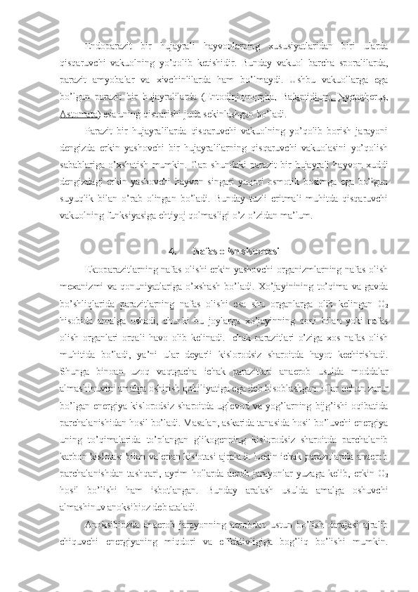 Endoparazit   bir   hujayrali   hayvonlarning   xususiyatlaridan   biri   ularda
qisqaruvchi   vakuolning   yo’qolib   ketishidir.   Bunday   vakuol   barcha   sporalilarda,
parazit   amyobalar   va   xivchinlilarda   ham   bo’lmaydi.   Ushbu   vakuollarga   ega
bo’lgan   parazit   bir   hujayralilarda   ( Entodiniomorpha,   Balantidium,   Nyctotherus,
Astomata ) esa uning qisqarishi juda sekinlashgan bo’ladi. 
Parazit   bir   hujayralilarda   qisqaruvchi   vakuolning   yo’qolib   borish   jarayoni
dengizda   erkin   yashovchi   bir   hujayralilarning   qisqaruvchi   vakuolasini   yo’qolish
sabablariga   o’xshatish   mumkin.   Gap   shundaki   parazit   bir   hujayrali   hayvon   xuddi
dengizdagi   erkin   yashovchi   hayvon   singari   yuqori   osmotik   bosimga   ega   bo’lgan
suyuqlik   bilan   o’rab   olingan   bo’ladi.   Bunday   tuzli   eritmali   muhitda   qisqaruvchi
vakuolning funksiyasiga ehtiyoj qolmasligi o’z-o’zidan ma’lum.
4.  Nafas olish sistemasi
Ektoparazitlarning nafas olishi erkin yashovchi organizmlarning nafas olish
mexanizmi   va   qonuniyatlariga   o’xshash   bo’ladi.   Xo’jayinining   to’qima   va   gavda
bo’shliqlarida   parazitlarning   nafas   olishi   esa   shu   organlarga   olib   kelingan   O
2
hisobida   amalga   oshadi,   chunki   bu   joylarga   xo’jayinning   qoni   bilan   yoki   nafas
olish   organlari   orqali   havo   olib   kelinadi.   Ichak   parazitlari   o’ziga   xos   nafas   olish
muhitida   bo’ladi,   ya’ni   ular   deyarli   kislorodsiz   sharoitda   hayot   kechirishadi.
Shunga   binoan   uzoq   vaqtgacha   ichak   parazitlari   anaerob   usulda   moddalar
almashinuvini amalga oshirish qobiliyatiga ega deb hisoblashgan. Ular uchun zarur
bo’lgan   energiya   kislorodsiz   sharoitda   uglevod   va   yog’larning   bijg’ishi   oqibatida
parchalanishidan hosil bo’ladi. Masalan, askarida tanasida hosil bo’luvchi energiya
uning   to’qimalarida   to’plangan   glikogenning   kislorodsiz   sharoitda   parchalanib
karbon kislotasi bilan valerian kislotasi ajraladi. Lekin ichak parazitlarida anaerob
parchalanishdan   tashqari,   ayrim   hollarda   aerob   jarayonlar   yuzaga   kelib,   erkin   O
2
hosil   bo’lishi   ham   isbotlangan.   Bunday   aralash   usulda   amalga   oshuvchi
almashinuv  anoksibioz  deb ataladi.
Anoksibiozda   anaerob   jarayonning   aerobdan   ustun   bo’lish   darajasi   ajralib
chiquvchi   energiyaning   miqdori   va   effektivligiga   bog’liq   bo’lishi   mumkin. 