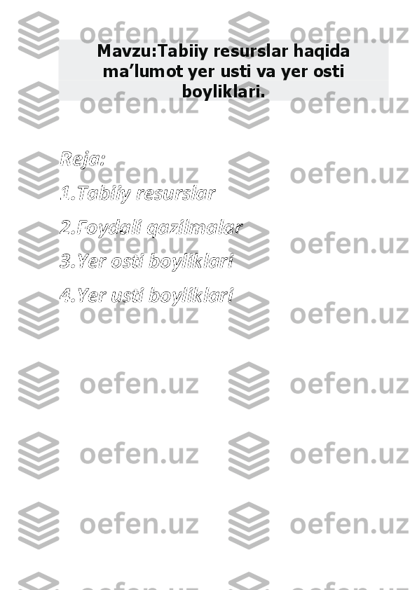 Mavzu:Tabiiy resurslar haqida 	
ma’lumot yer usti va yer osti 	
boyliklari.	 	
 
Reja: 
1.Tabiiy resurslar  
2.Foydali qazilmalar 
3.Yer osti boyliklari 
4.Yer usti boyliklari 
 
 
 
 
 
 
  