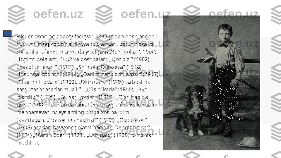 Jek Londonning adabiy faoliyati 1893-yildan boshlangan. 
Yozuvchining koʻpgina hikoya toʻplamlari, qator qissa va 
romanlari shimol mavzuida yozilgan („Boʻri bolasi“, 1900; 
„Izgʻirin bolalari“, 1902 va boshqalar). „Qor qizi“ (1902), 
„Hayot uchquni“ (1907), „Shimoliy Odisseya“ (1910), 
„Insonga ishonch“ (1914), „Qadim dengizchilardek“ (1917), 
„Chandiqli odam“ (1900), „Oltin dara“ (1905) va boshqa 
sarguzasht asarlar muallifi. „Olis oʻlkada“ (1899), „Ayol 
mardligi“ (1900), „Gulxan yoqish“ (1910), „Qish haqida 
qissa“ (1904) asarlarida tabiat bilan uygʻunlashib ketgan 
mehnatsevar indeyslarning oʻziga xos hayotini 
tasvirlagan. „Yovvoyilik chaqirigʻi“ (1903), „Oq soʻyloq“ 
(1906) asarlari hayvonot olami haqida. „Dengiz boʻrisi“ 
(1904) „Martin Eden“ (1909), „Uch qalb“ (1920) romanlari 
mashhur. 