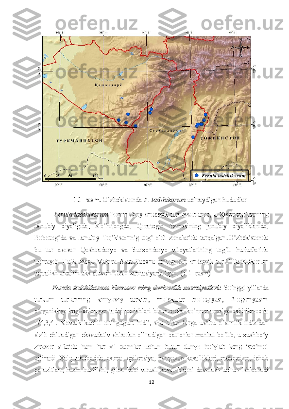 1.1-rasm.  Oʻ zbekistonda  F. tadshikorum  uchraydigan hududlar
  Ferula tadshikorum  Pomir-Oloy endemik turi hisoblanib, u Xisor tog larining	
ʻ
Janubiy   qiyaligida,   Ko hitongda,   Qorategin   tizmasining   janubiy   qiyaliklarida,	
ʻ
Bobotog da   va   Janubiy   Tojikistonnig   tog   oldi   zonalarida   tarqalgan..O zbekistonda	
ʻ ʻ ʻ
bu   tur   asosan   Qashqadaryo   va   Surxondaryo   viloyatlarining   tog li   hududlarida	
ʻ
uchraydi.   Halkuzieva   Mohira   Asatullaevna   tomonidan   endemik   tur   F.Tadshikorum
tarqalish arealini aks etuvchi GAT xaritasiyaratilgan .  (1.1- rasm)
Ferula tadshikorum  Pimenov   ning dorivorlik xususiyatlari:   So nggi yillarda	
ʻ
turkum   turlarining   kimyoviy   tarkibi,   molekular   biologiyasi,   filogeniyasini
o rganishga bag ishlangan tadqiqot ishlari bir muncha ko proq amalga oshirilmoqda	
ʻ ʻ ʻ
[74,3,4].   Kovrak   kuchli   oltingugurt   hidli,   shu   bilan   birga   ushbu   o simlik   ildizidan	
ʻ
sizib chiqadigan ekssudativ shiradan olinadigan qatronlar manbai bo lib, u xushbo y
ʻ ʻ
ziravor   sifatida   ham   har   xil   taomlar   uchun   butun   dunyo   bo ylab   keng   iste mol	
ʻ ʼ
qilinadi. Xalq tabobatida, astma, epilepsiya, oshqozon kasalliklari, meteorizm, ichak
parazitlari, hazm buzilishi, gripp kabi virusli kasalliklarni davolash uchun   ishlatiladi
12 