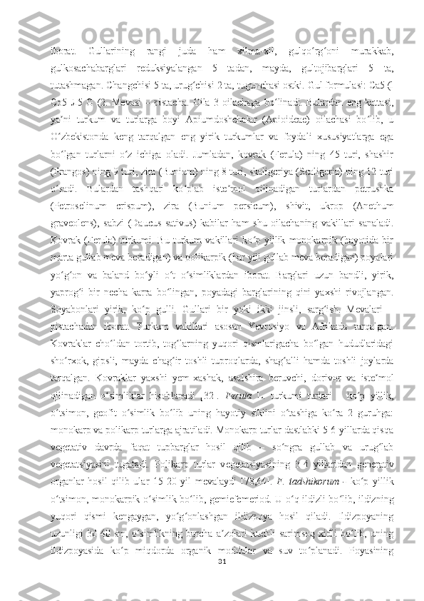 iborat.   Gullarining   rangi   juda   ham   xilma-xil,   gulqo rg oni   murakkab,ʻ ʻ
gulkosachabarglari   reduksiyalangan   5   tadan,   mayda,   gultojibarglari   5   ta,
tutashmagan.  Changchisi 5 ta, urug chisi 2 ta, tugunchasi ostki. Gul formulasi: Ca5 (l	
ʻ
Co5   Л 5   G   (2.   Mevasi   –   pistacha.   Oila   3   oilachaga   bo linadi.   Bulardan   eng   kattasi,	
ʻ
ya ni   turkum   va   turlarga   boyi   Apiumdoshchalar   (Apioideae)   oilachasi   bo lib,   u	
ʼ ʻ
O zbekistonda   keng   tarqalgan   eng   yirik   turkumlar   va   foydali   xususiyatlarga   ega
ʻ
bo lgan   turlarni   o z   ichiga   oladi.   Jumladan,   kovrak   (Ferula)   ning   45   turi,   shashir
ʻ ʻ
(Prangos) ning 9 turi, zira (Bunium) ning 8 turi, skaligcriya (Scaligeria) ning 12 turi
o sadi.   Bulardan   tashqari   ko plab   iste mol   qilinadigan   turlardan   petrushka
ʻ ʻ ʼ
(Petroselinum   crispum),   zira   (Bunium   persicum),   shivit,   ukrop   (Anethum
graveolens),   sabzi   (Daucus   sativus)   kabilar   ham   shu   oilachaning   vakillari   sanaladi.
Kovrak   (Ferula)   turkumi.   Bu   turkum   vakillari   ko p   yillik   monokarpik   (hayotida   bir	
ʻ
marta gullab meva beradigan) va polikarpik (har yili gullab meva beradigan) poyalari
yo g on   va   baland   bo yli   o t   o simliklardan   iborat.   Barglari   uzun   bandli,   yirik,	
ʻ ʻ ʻ ʻ ʻ
yaprog i   bir   necha   karra   bo lingan,   poyadagi   barglarining   qini   yaxshi   rivojlangan.	
ʻ ʻ
Soyabonlari   yirik,   ko p   gulli.   Gullari   bir   yoki   ikki   jinsli,   sarg ish.   Mevalari   –	
ʻ ʻ
pistachadan   iborat.   Turkum   vakillari   asosan   Yevrosiyo   va   Afrikada   tarqalgan.
Kovraklar   cho ldan   tortib,   tog larning   yuqori   qismlarigacha   bo lgan   hududlaridagi	
ʻ ʻ ʻ
sho rxok,   gipsli,   mayda   chag ir   toshli   tuproqlarda,   shag alli   hamda   toshli   joylarda	
ʻ ʻ ʻ
tarqalgan.   Kovraklar   yaxshi   yem-xashak,   asalshira   beruvchi,   dorivor   va   iste mol	
ʼ
qilinadigan   o simliklar   hisoblanadi   [32].  	
ʻ Ferula   L.   turkumi   turlari   –   ko p   yillik,	ʻ
o tsimon,   geofit   o simlik   bo lib   uning   hayotiy   siklini   o tashiga   ko ra   2   guruhga:	
ʻ ʻ ʻ ʻ ʻ
monokarp va polikarp turlarga ajratiladi. Monokarp turlar dastlabki 5-6-yillarda qisqa
vegetativ   davrda   faqat   tupbarglar   hosil   qilib   –   so ngra   gullab   va   urug lab	
ʻ ʻ
v ѐ g ѐ tatsiyasini   tugatadi.   Polikarp   turlar   v ѐ g ѐ tatsiyasining   3-4   yillaridan   g ѐ n ѐ rativ
organlar   hosil   qilib   ular   15-20   yil   m ѐ valaydi   [78,64].   F.   tadshikorum   -   ko p   yillik	
ʻ
o tsimon,	
ʻ   monokarpik o simlik bo lib, gemiefemeriod. U o q ildizli bo lib, ildizning	ʻ ʻ ʻ ʻ
yuqori   qismi   kengaygan,   yo g onlashgan   ildizpoya   hosil   qiladi.   Ildizpoyaning	
ʻ ʻ
uzunligi   30-40   sm,   o simlikning   barcha   a zolari   kuchli   sarimsoq   xidli   bo lib,   uning	
ʻ ʼ ʻ
ildizpoyasida   ko p   miqdorda   organik   moddalar   va   suv   to planadi.   Poyasining	
ʻ ʻ
31 