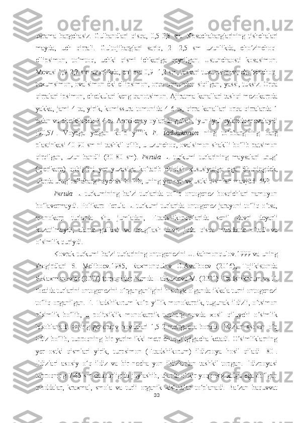 qarama   bargchasiz.   Gulbandlari   qisqa,   0,5-0,8   sm.   Kosachabarglarining   tishchalari
mayda,   uch   qirrali.   Gultojibarglari   sariq,   2-   2,5   sm   uzunlikda,   cho zinchoq-ʻ
ellipsimon,   to mtoq,   uchki   qismi   ichkariga   qayrilgan.   Ustunchaosti   kosasimon.	
ʻ
Mevasi 1,9-2,7 sm uzunlikda, eni esa 0,9- 1,2 sm, teskari tuxumsimon, cho zinchoq-	
ʻ
tuxumsimon,  ovalsimon  	
ѐOki  ellipsimon,   orqa  tomondan  siqilgan,   yassi,   tuksiz.  Orqa
qirralari ipsimon, chetkulari keng qanotsimon. Ajiratma kanallari tashqi mezokarpda
yakka,  jami  4  ta,  yirik,  komissura  tomonida  4-6  ta,  qirra  kanallari   orqa   qirralarda   1
tadan va chetkilarida 3-4 ta. Aprel-may oylarida gullab, iyun-iyul oylarida mevalaydi
[ 9 0, 57 ].   Voyaga   yetgan   ko p   yillik  	
ʻ F.   tadshikorum   ning   to pbargining   barg	ʻ
plastinkasi 40-90 sm ni tashkil qilib, u uzunchoq, ovalsimon shaklli bo lib patsimon	
ʻ
qirqilgan,   uzun   bandli   (30-80   sm).   Ferula   L.   turkumi   turlarining   maysalari   uru g	
ʻ
(merikarp)   qobig ini	
ʻ   yer   yuzasiga   k o	ʻ tarib   chi q ish   xususiyatiga   ega.   Shuningdek,
ularda urug pallabarg naychasi bo lib, uning yer osti va ustki qismlari mavjud 	
ʻ ʻ [69].
Ferula   L.   turkumining   ba zi   turlarida   to liq   ontogenez   bosqichlari   namoyon	
ʼ ʻ
bo lavermaydi.  Polikarp  Ferula  L.  turkumi  turlarida  ontogenez   jarayoni   to liq  o tsa,	
ʻ ʻ ʻ
monokarp   turlarda   shu   jumladan,   F.tadshikorumlarida   senil   davri   deyarli
kuzatilmaydi,   ularda   gullash   va   urug lash   davri   juda   qisqa   muddatda   o tadi   va	
ʻ ʻ
o simlik quriydi.	
ʻ
Kovrak turkumi ba zi turlarining ontogenezini U.Rahmonqulov.1999 va uning	
ʼ
shogirdlari   S.   Meliboev.1985,   Raxmonqulov   O.Аvalboev   (2016),   Tojikistonda
S.Raxmonovlar (2017) tomonidan hamda Halkuzieva M. (2021) F.tadshikorum va F.
foetida turlarini ontogenezini o rganganligini hisobga olganda ikkala turni ontogenezi	
ʻ
to liq  organilgan.  F. Tadshikorum  ko p yillik  monokarpik,  tugunak ildizli, o tsimon	
ʻ ʻ ʻ
o simlik   bo lib,   u   politsiklik   monokarpik   tupbarg   novda   xosil   qiluvchi   o simlik
ʻ ʻ ʻ
hisoblanadi.   Uning   generativ   novdalari   1,5-2   metrgacha   boradi.   Ildizlari   asosan   o q	
ʻ
ildiz  bo lib,  tuproqning  bir   yarim   ikki   metr   chuqurligigacha   ketadi.   O simliklarning	
ʻ ʻ
yer   ostki   qismlari   yirik,   turpsimon   (F.tadshikorum)   ildizpoya   hosil   qiladi   [80].
Ildizlari   asosiy   o q   ildiz   va   bir   necha   yon   ildizlardan   tashkil   topgan.   Ildizpoyasi	
ʻ
tuproqning 7-45 sm chuqurligida joylashib, ularda o tkir yoqimsiz xidga ega bo lgan	
ʻ ʻ
moddalar,   kraxmal,   smola   va   turli   organik   kislotalar   to planadi.   Ba zan   baquvvat	
ʻ ʼ
33 