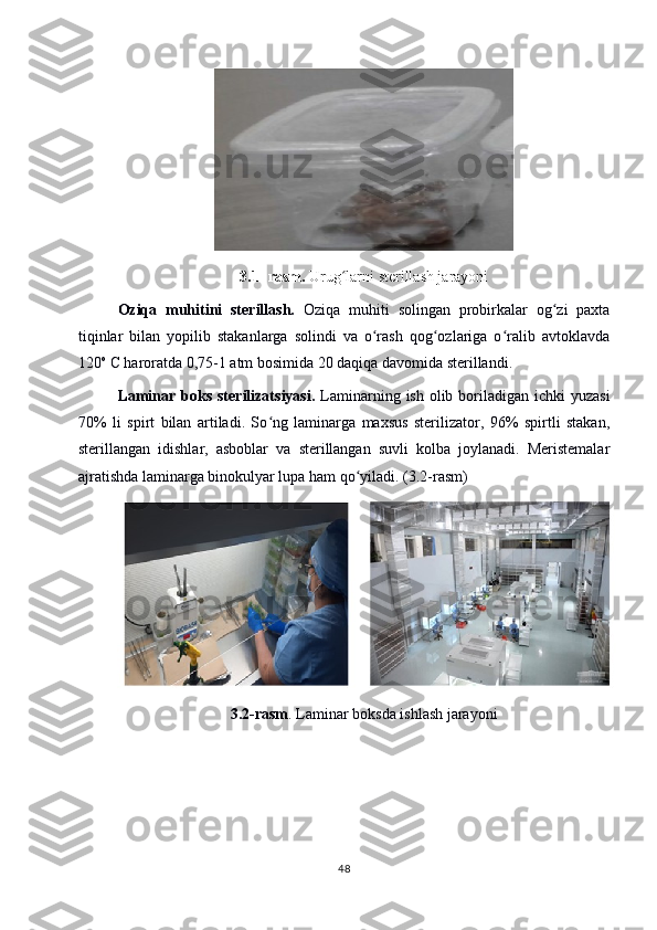 3.1- rasm.  Urug larni sterillash jarayoniʻ
Oziqa   muhitini   sterillash.   Oziqa   muhiti   solingan   probirkalar   og zi   paxta	
ʻ
tiqinlar   bilan   yopilib   stakanlarga   solindi   va   o rash   qog ozlariga   o ralib   avtoklavda	
ʻ ʻ ʻ
120 o
 C haroratda 0,75-1 atm bosimida 20 daqiqa davomida sterillandi.
Laminar boks  sterilizatsiyasi.   Laminarning ish olib boriladigan ichki  yuzasi
70%   li   spirt   bilan   artiladi.   So ng   laminarga   maxsus   sterilizator,   96%   spirtli   stakan,	
ʻ
sterillangan   idishlar,   asboblar   va   sterillangan   suvli   kolba   joylanadi.   Meristemalar
ajratishda laminarga binokulyar lupa ham qo yiladi. (3.2-rasm) 	
ʻ
3.2-rasm . Laminar boksda ishlash jarayoni
48 