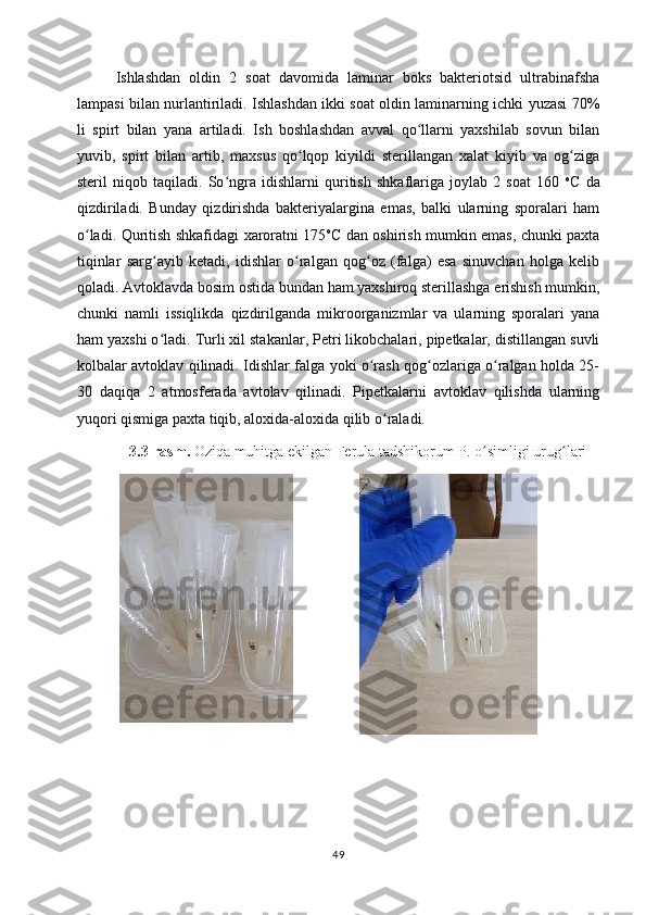 Ishlashdan   oldin   2   soat   davomida   laminar   boks   bakteriotsid   ultrabinafsha
lampasi bilan nurlantiriladi. Ishlashdan ikki soat oldin laminarning ichki yuzasi 70%
li   spirt   bilan   yana   artiladi.   Ish   boshlashdan   avval   qo llarni   yaxshilab   sovun   bilanʻ
yuvib,   spirt   bilan   artib,   maxsus   qo lqop   kiyildi   sterillangan   xalat   kiyib   va   og ziga	
ʻ ʻ
steril   niqob   taqiladi.   So ngra   idishlarni   quritish   shkaflariga   joylab   2   soat   160  	
ʻ o
C   da
qizdiriladi.   Bunday   qizdirishda   bakteriyalargina   emas,   balki   ularning   sporalari   ham
o ladi. Quritish shkafidagi xaroratni 175	
ʻ o
C dan oshirish mumkin emas, chunki paxta
tiqinlar   sarg ayib   ketadi,   idishlar   o ralgan   qog oz   (falga)   esa   sinuvchan   holga   kelib	
ʻ ʻ ʻ
qoladi. Avtoklavda bosim ostida bundan ham yaxshiroq sterillashga erishish mumkin,
chunki   namli   issiqlikda   qizdirilganda   mikroorganizmlar   va   ularning   sporalari   yana
ham yaxshi o ladi. Turli xil stakanlar, Petri likobchalari, pipetkalar, distillangan suvli
ʻ
kolbalar avtoklav qilinadi. Idishlar falga yoki o rash qog ozlariga o ralgan holda 25-	
ʻ ʻ ʻ
30   daqiqa   2   atmosferada   avtolav   qilinadi.   Pipetkalarni   avtoklav   qilishda   ularning
yuqori qismiga paxta tiqib, aloxida-aloxida qilib o raladi. 	
ʻ
3.3-rasm.  Oziqa muhitga ekilgan  Ferula tadshikorum P.  o simligi urug lari	
ʻ ʻ
49 