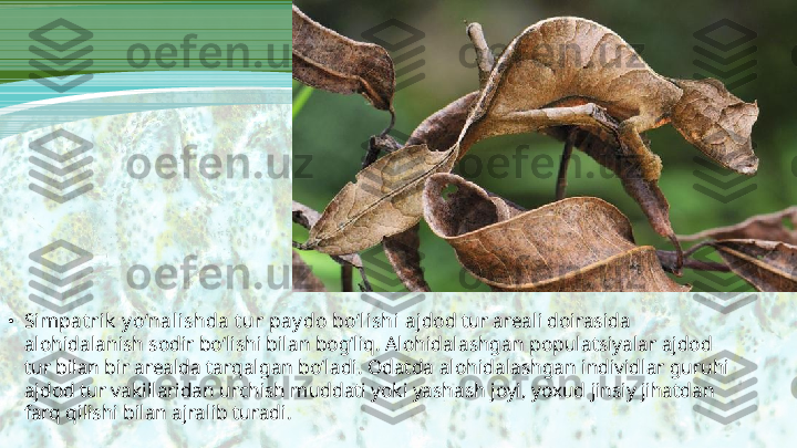 •
Simpat rik  y o‘nalishda t ur pay do bo‘lishi  ajdod tur areali doirasida 
alohidalanish sodir bo‘lishi bilan bog‘liq. Alohidalashgan populatsiyalar ajdod 
tur bilan bir arealda tarqalgan bo‘ladi. Odatda alohidalashgan individlar guruhi 
ajdod tur vakillaridan urchish muddati yoki yashash joyi, yoxud jinsiy jihatdan 
farq qilishi bilan ajralib turadi. 