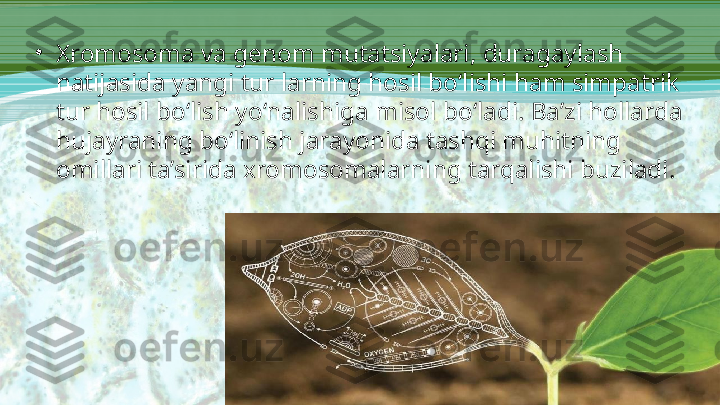 •
Xromosoma va genom mutatsiyalari, duragaylash 
natijasida yangi tur larning hosil bo‘lishi ham simpatrik 
tur hosil bo‘lish yo‘nalishiga misol bo‘ladi. Ba’zi hollarda 
hujayraning bo‘linish jarayonida tashqi muhitning 
omillari ta’sirida xromosomalarning tarqalishi buziladi. 