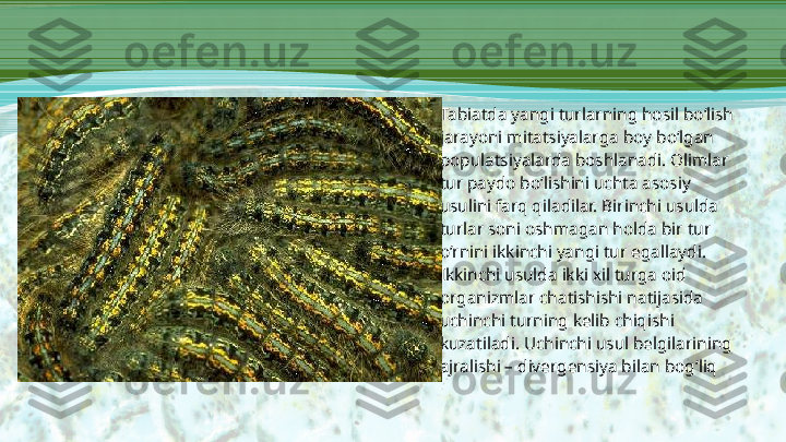 •
Tabiatda yangi turlarning hosil bo‘lish 
jarayoni mitatsiyalarga boy bo‘lgan 
populatsiyalarda boshlanadi. Olimlar 
tur paydo bo‘lishini uchta asosiy 
usulini farq qiladilar. Birinchi usulda 
turlar soni oshmagan holda bir tur 
o‘rnini ikkinchi yangi tur egallaydi. 
Ikkinchi usulda ikki xil turga oid 
organizmlar chatishishi natijasida 
uchinchi turning kelib chiqishi 
kuzatiladi. Uchinchi usul belgilarining 
ajralishi – divergensiya bilan bog‘liq 