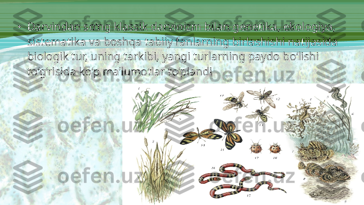 •
Darvindan so‘ng klassik darvinizm bilan genetika, ekologiya, 
sistematika va boshqa tabiiy fanlarning birlashishi natijasida 
biologik tur, uning tarkibi, yangi turlarning paydo bo‘lishi 
to‘g‘risida ko‘p ma’lumotlar to‘plandi 