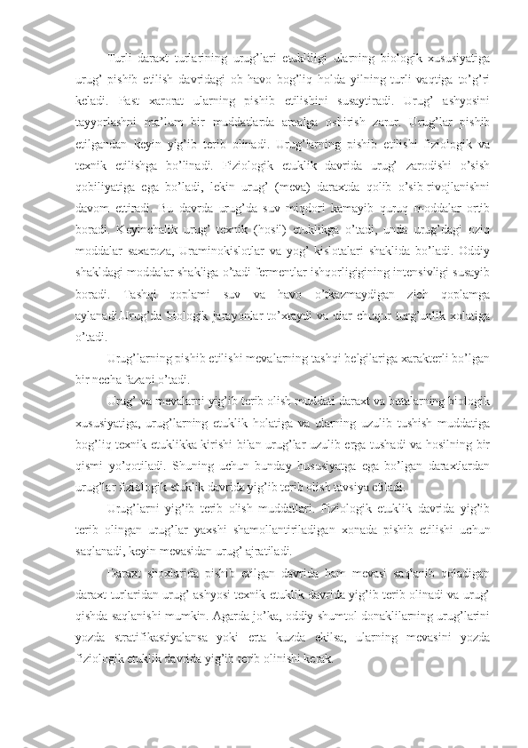 Turli   daraxt   turlarining   urug’lari   etukliligi   ularning   biologik   xususiyatiga
urug’   pishib   etilish   davridagi   ob-havo   bog’liq   holda   yilning   turli   vaqtiga   to’g’ri
keladi.   Past   xarorat   ularning   pishib   etilishini   susaytiradi.   Urug’   ashyosini
tayyorlashni   ma’lum   bir   muddatlarda   amalga   oshirish   zarur.   Urug’lar   pishib
etilgandan   keyin   yig’ib   terib   olinadi.   Urug’larning   pishib   etilishi   fiziologik   va
texnik   etilishga   bo’linadi.   Fiziologik   etuklik   davrida   urug’   zarodishi   o’sish
qobiliyatiga   ega   bo’ladi,   lekin   urug’   (meva)   daraxtda   qolib   o’sib-rivojlanishni
davom   ettiradi.   Bu   davrda   urug’da   suv   miqdori   kamayib   quruq   moddalar   ortib
boradi.   Keyinchalik   urug’   texnik   (hosil)   etuklikga   o’tadi,   unda   urug’dagi   oziq
moddalar   saxaroza,   Uraminokislotlar   va   yog’   kislotalari   shaklida   bo’ladi.   Oddiy
shakldagi moddalar shakliga o’tadi fermentlar ishqorligigining intensivligi susayib
boradi.   Tashqi   qoplami   suv   va   havo   o’tkazmaydigan   zich   qoplamga
aylanadi.Urug’da   biologik   jarayonlar   to’xtaydi   va   ular   chuqur   turg’unlik   xolatiga
o’tadi.
Urug’larning pishib etilishi mevalarning tashqi belgilariga xarakterli bo’lgan
bir necha fazani o’tadi.
Urug’ va mevalarni yig’ib terib olish muddati daraxt va butalarning biologik
xususiyatiga,   urug’larning   etuklik   holatiga   va   ularning   uzulib   tushish   muddatiga
bog’liq texnik etuklikka kirishi bilan urug’lar uzulib erga tushadi va hosilning bir
qismi   yo’qotiladi.   Shuning   uchun   bunday   hususiyatga   ega   bo’lgan   daraxtlardan
urug’lar fiziologik etuklik davrida yig’ib terib olish tavsiya etiladi.
Urug’larni   yig’ib   terib   olish   muddatlari.   Fiziologik   etuklik   davrida   yig’ib
terib   olingan   urug’lar   yaxshi   shamollantiriladigan   xonada   pishib   etilishi   uchun
saqlanadi, keyin mevasidan urug’ ajratiladi.
Daraxt   shoxlarida   pishib   etilgan   davrida   ham   mevasi   saqlanib   qoladigan
daraxt turlaridan urug’ ashyosi texnik etuklik davrida yig’ib terib olinadi va urug’
qishda saqlanishi mumkin. Agarda jo’ka, oddiy shumtol donaklilarning urug’larini
yozda   stratifikastiyalansa   yoki   erta   kuzda   ekilsa,   ularning   mevasini   yozda
fiziologik etuklik davrida yig’ib terib olinishi kerak. 