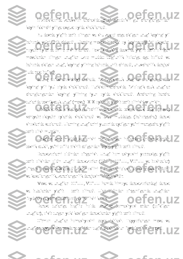 O’zbekistonda   zaravshon   archasida   urug’   zarodo’shi   gul   changlanganidan
keyin ikkinchi yiliga avgust oyida shakllanadi.
Bu davrda yig’ib terib olingan va shu zaxoti erga ekilgan urug’ keyingi yil
bahorda   yalpi   unib   chiqadi.   Ularning   mevasi   bir-ikki   oy   keyinroq   ya’ni   oktyabr-
noyabr   oylarida   to’liq   pishib   etiladi.   Texnik   etuklik   daavrida   yig’ib-terib   olingan
mevalardan   olingan   urug’lar   uzoq   muddat   turg’unlik   holatiga   ega   bo’ladi   va
bahorda ekilgan urug’, keyingi yilning bahorda unib chiqadi, unuvchanlik darajasi
juda past bo’ladi.
Saur   (   polusharovidniy)   archada   fiziologik   etuk   urug’lar   changlangandan
keyingi   yili   iyul   oiyda   shakllanadi.   Turkiston   archasida   fiziologik   etuk   urug’lar
changlangandan   keyingi   yilining   iyun   oyida   shakllanadi.   Archaning   barcha
turlarida texnik etuk urug’ (meva) IX-X oylarida yig’ib terib olinishi mumkin.
O’zbekistonda   o’sadigan   ko’pchilik   daraxtlarda   texnik   etuk   urug’   (meva)
sentyabr-oktyabr   oylarida   shakllanadi   va   uzoq   muddatga   (bahorgacha)   daraxt
shoxlarida saqlanadi. Ularning urug’larini yuqorida aytilgan ya’ni martgacha yig’ib
terib olish mumkin.
Urug’lar   uzoq   muddat   saqlanishi   mo’ljallangan   hollarda   ular   daraxtlardan
texnik etukli, ya’ni to’liq pishib etilgandan keyin yig’ib terib olinadi.
Daraxtzorlarni   oldindan   o’rganish.   Urug’   hom   ashyosini   yoppasiga   yig’ib
terib   olishdan   oldin   urug’li   daraxtzorlar   (O’UP,   DO’UU,   VO’UU   va   boshqalar)
o’rganib chiqiladi. Maqsadi urug’ hosilini oldindan aniqlash, ularning ekish sifatini
va kasallanganlik, zararlanganlik darajasini o’rganishdir.
Meva   va   urug’lar   DO’UU,   VO’UU   hamda   himoya   daraxtzorlardagi   daraxt
va   butalardan   yig’ib   -   terib   olinadi.   Ular   oldindan   o’rganilganda   urug’idan
foydalanish yaroqli deb topilgan bo’lishi kerak.
Daraxt   turlariga   bog’liq   holda   urug’lar   homashyosi   erdan   (to’kilgan
urug’lar), o’sib turgan yoki kesilgan daraxtlardan yig’ib terib olinadi.
O’rmon   urug’lar   homashyosini   qayta   ishlash.   Tayyorlangan   meva   va
urug’lar qayta ishlanmasdan tug’ridan tug’ri ekish uchun foydalanib bo’lmaydi. 