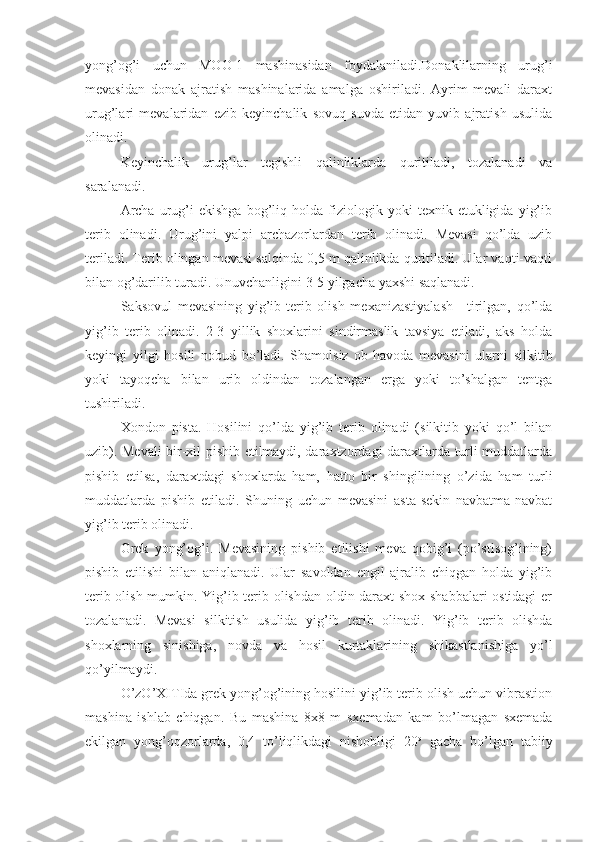 yong’og’i   uchun   MOO-1   mashinasidan   foydalaniladi.Donaklilarning   urug’i
mevasidan   donak   ajratish   mashinalarida   amalga   oshiriladi.   Ayrim   mevali   daraxt
urug’lari   mevalaridan   ezib   keyinchalik   sovuq   suvda   etidan   yuvib   ajratish   usulida
olinadi.
Keyinchalik   urug’lar   tegishli   qalinliklarda   quritiladi,   tozalanadi   va
saralanadi.
Archa   urug’i   ekishga   bog’liq  holda   fiziologik   yoki   texnik  etukligida   yig’ib
terib   olinadi.   Urug’ini   yalpi   archazorlardan   terib   olinadi.   Mevasi   qo’lda   uzib
teriladi. Terib olingan mevasi salqinda 0,5 m qalinlikda quritiladi. Ular vaqti-vaqti
bilan og’darilib turadi. Unuvchanligini 3-5 yilgacha yaxshi saqlanadi.
Saksovul   mevasining   yig’ib-terib   olish   mexanizastiyalash---tirilgan,   qo’lda
yig’ib   terib   olinadi.   2-3   yillik   shoxlarini   sindirmaslik   tavsiya   etiladi,   aks   holda
keyingi   yilgi   hosili   nobud   bo’ladi.   Shamolsiz   ob-havoda   mevasini   ularni   silkitib
yoki   tayoqcha   bilan   urib   oldindan   tozalangan   erga   yoki   to’shalgan   tentga
tushiriladi.
Xondon   pista.   Hosilini   qo’lda   yig’ib   terib   olinadi   (silkitib   yoki   qo’l   bilan
uzib). Mevali  bir-xil pishib etilmaydi, daraxtzordagi daraxtlarda turli muddatlarda
pishib   etilsa,   daraxtdagi   shoxlarda   ham,   hatto   bir   shingilining   o’zida   ham   turli
muddatlarda   pishib   etiladi.   Shuning   uchun   mevasini   asta-sekin   navbatma-navbat
yig’ib terib olinadi.
Grek   yong’og’i.   Mevasining   pishib   etilishi   meva   qobig’i   (po’stlsog’ining)
pishib   etilishi   bilan   aniqlanadi.   Ular   savoldan   engil   ajralib   chiqgan   holda   yig’ib
terib olish mumkin. Yig’ib terib olishdan oldin daraxt shox-shabbalari ostidagi  er
tozalanadi.   Mevasi   silkitish   usulida   yig’ib   terib   olinadi.   Yig’ib   terib   olishda
shoxlarning   sinishiga,   novda   va   hosil   kurtaklarining   shikastlanishiga   yo’l
qo’yilmaydi.
O’zO’XITIda grek yong’og’ining hosilini yig’ib terib olish uchun vibrastion
mashina   ishlab   chiqgan.   Bu   mashina   8x8   m   sxemadan   kam   bo’lmagan   sxemada
ekilgan   yong’oqzorlarda,   0,4   to’liqlikdagi   nishobligi   20 o
  gacha   bo’lgan   tabiiy 