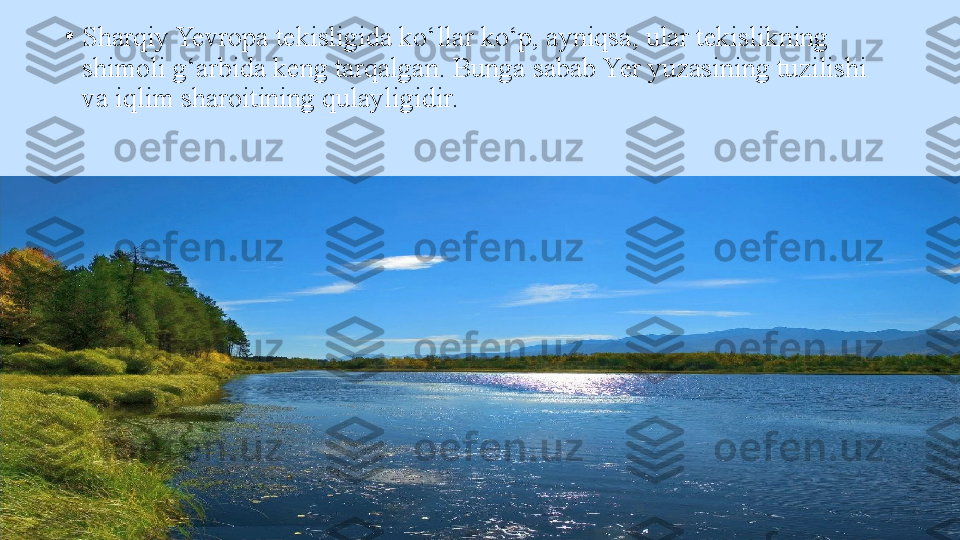 •
Sharqiy Yevropa tekisligida ko‘llar ko‘p, ayniqsa, ular tekislikning 
shimoli g‘arbida keng tarqalgan. Bunga sabab Yer yuzasining tuzilishi 
va iqlim sharoitining qulayligidir. 