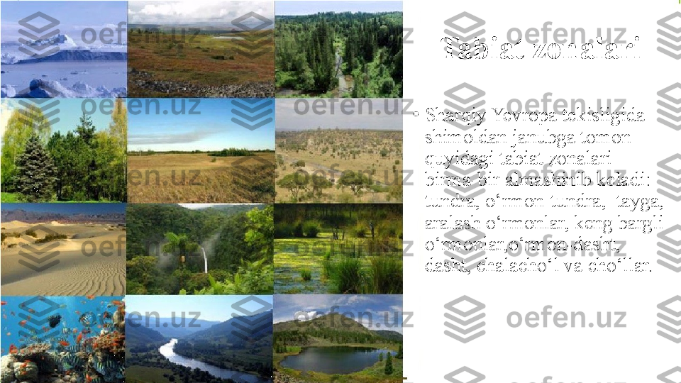 Tabiat zonalari
•
Sharqiy Yevropa tekisligida 
shimoldan janubga tomon 
quyidagi tabiat zonalari 
birma-bir almashinib keladi: 
tundra, o‘rmon-tundra,  tayga, 
aralash o‘rmonlar, keng bargli 
o‘rmonlar,o‘rmon-dasht,  
dasht, chalacho‘l va cho‘llar. 