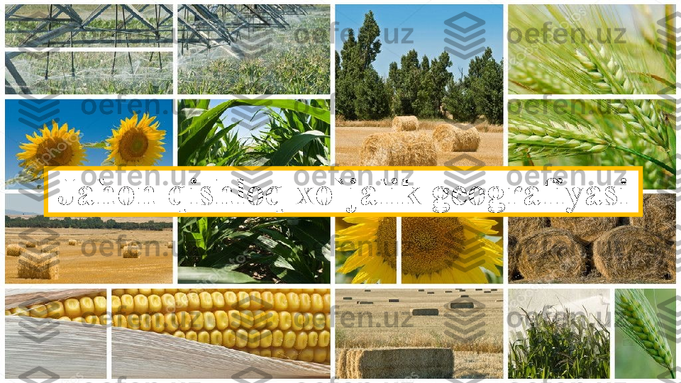 Jahon  qishloq xo`jalik  geografiyasi 