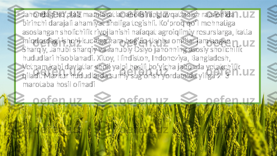 •
Jahondagi ko‘plab mamlakatlar aholisining ovqatlanish ratsionida 
birinchi darajali ahamiyat  sholi ga tegishli. Ko‘proq qo‘l mehnatiga 
asoslangan sholichilik rivojlanishi nafaqat agroiqlimiy resurslarga, katta 
miqdordagi ishchi kuchiga ham bog‘liq Ushbu omillar jamlangan 
Sharqiy, Janubi-sharqiy va Janubiy Osiyo jahonning asosiy sholichilik 
hududlari hisoblanadi. Xitoy, Hindiston, Indoneziya, Bangladesh, 
Vetnam kabi davlatlar sholi yalpi hosili bo‘yicha jahonda yetakchilik 
qiladi. Mazkur hududlarda sun’iy sug‘orish yordamida yiliga 2–3 
marotaba hosil olinadi 