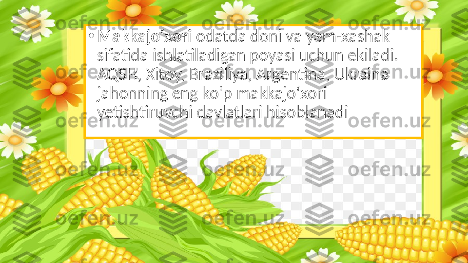 •
Makkajo‘xori  odatda doni va yem-xashak 
sifatida ishlatiladigan poyasi uchun ekiladi. 
AQSH, Xitoy, Braziliya, Argentina, Ukraina 
jahonning eng ko‘p makkajo‘xori 
yetishtiruvchi davlatlari hisoblanadi 