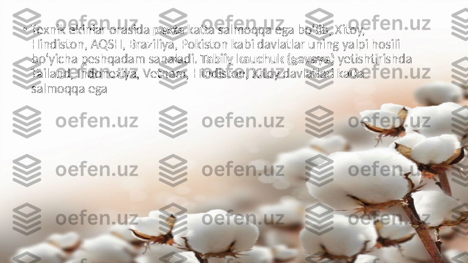 •
Texnik ekinlar orasida  paxta  katta salmoqqa ega bo‘lib, Xitoy, 
Hindiston, AQSH, Braziliya, Pokiston kabi davlatlar uning yalpi hosili 
bo‘yicha peshqadam sanaladi.  Tabiiy kauchuk (geveya)  yetishtirishda 
Tailand, Indoneziya, Vetnam, Hindiston, Xitoy davlatlari katta 
salmoqqa ega 