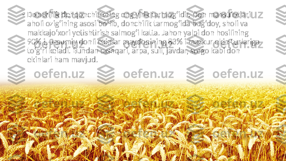 •
Donchilik  dehqonchilikning eng yirik tarmog‘idir. Don mahsulotlari 
aholi ozig‘ining asosi bo‘lib, donchilik tarmog‘ida bug‘doy, sholi va 
makkajo‘xori yetishtirish salmog‘i katta. Jahon yalpi don hosilining 
90% i, umumiy donli ekinlar maydonining 83% i mazkur ekin turlariga 
to‘g‘ri keladi. Bundan tashqari, arpa, suli, javdar, sorgo kabi don 
ekinlari ham mavjud. 