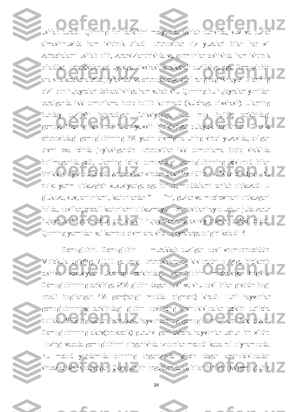 ushlab   turadi.   Qonning   ion   tarkibini   me`yorida   ushlab   turishda,   suv   va   tuzlar
almashinuvida   ham   ishtirok   qiladi.   Eritrotsitlar   o`z   yuzalari   bilan   har   xil
zarrachalarni   ushlab  olib, zararsizlantirishda  va  gormonlar  tashishda  ham   ishtirok
qiladilar.   Eritrotsitlar   ari   uyasiga   o`xshash   katakchali   tuzilishga   ega.   Gemoglobin
ana shu katakchalarda joylashadi va eritrotsitlarga qizil rang bag`ishlaydi. Ularning
qizil qon hujayralari deb atalishiga ham sabab shu. Qonning bu hujayralari yonidan
qaralganda   ikki   tomonlama   botiq   bo`lib   ko`rinadi   (kulchaga   o`xshash).   Ularning
bunday   tuzilishi   bajaradigan   funksiyasiga   juda   mos   bo`lib,   tarkibidagi
gemoglobinning   kislorod   bilan   yaxshi   birikishiga   qulaylik   tug`diradi.   Chunki
eritrotsitdagi   gemoglobinning   3%   yaqin   qismigina   uning   sirtqi   yuzasida,   qolgan
qismi   esa   ichida   joylashgandir.   Eritrotsitlar   ikki   tomonlama   botiq   shaklida
bo`lmaganida   edi,   ularning   ichki   tomonidagi   gemoglobinning   kislorod   bilan
birikishi qiyin bulur edi. Eritrotsitlar sirtdan oqsil-lipoidli po`st bilan o`ralgan. Bu
po`st   yarim   o`tkazgich   xususiyatiga   ega   bo`lib,   moddalarni   tanlab   o`tkazadi.   U
glukoza, suv, anionlarni, kationlardan “ H +”ni, gazlar va mochevinani o`tkazgani
holda, oqsillar, metall kationlarni o`tkazmaydi. Eritrotsitlar hayot uchun juda zarur
hujayralar  b`lgani uchun qon shaklli  hujayralarining asosiy qismini  tashkil  qiladi.
Qonning yarmidan sal kamroq qismi ana shu hujayralarga to`g`ri keladi [6].
          Gemoglobin.   Gemoglobin   —   murakkab   tuzilgan   oqsil-xromoproteiddir.
Molekula   og`irligi   70000   ga   teng.   Eritrotsitlarning   kislorodni   o   `ziga   biriktirib
tashish   xususiyati   ularning   tarkibidagi   gemoglobin   moddasiga   bog`liq.
Gemoglobinning tarkibiga 96% globin degan oqsil va shu oqsil bilan gistidin bog`
orqali   bog`langan   4%   gem(rangli   modda-   pigment)   kiradi.   Turli   hayvonlar
gemoglobinining   tarkibidagi   globin   oqsilining   aminokislotalar   tarkibi   turlicha
bo`ladi.   Shuning   uchun   ham   turli   hayvonlarning   gemoglobini   o`zaro   farq   qiladi.
Gemoglobinning   aktiv(prostetik)   guruhsi-gem   barcha   hayvonlar   uchun   bir   xildir.
Hozirgi  vaqtda gemoglobinni o`rganishda izotoplar  metodi katta rol  o`ynamoqda.
Bu   metod   yordamida   qonning   organizmda   glicin   degan   aminokislotadan
sintezlanishi isbotlangan.   Gemoglobin organizmda O
2  bilan birikib oksigemoglobin
14 