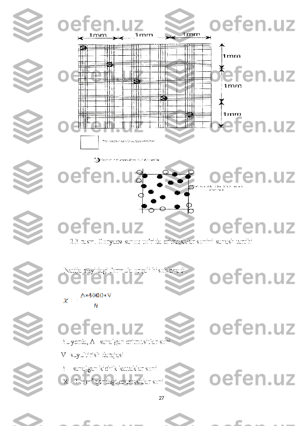 2.3-rasm. Goryaev sanoq to’rida eritrotsitlar sonini sanash tartibi
             Natija quyidagi formula orqali hisoblanadi. 
            
Bu yerda, A- sanalgan eritrotsitlar soni
V- suyultirish darajasi
B – sanalgan kichik kattaklar soni
  X – 1 mm 3 
qondagi eritrotsitlar soni
27 