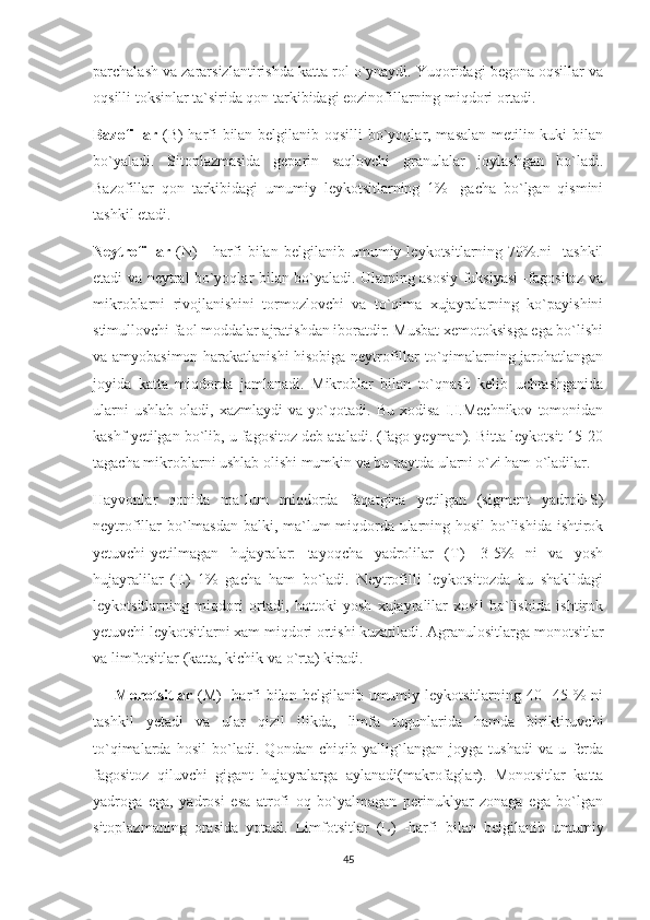 parchalash va zararsizlantirishda katta rol o`ynaydi. Yuqoridagi begona oqsillar va
oqsilli toksinlar ta`sirida qon tarkibidagi eozinofillarning miqdori ortadi.
Bazofillar   (B)-harfi  bilan belgilanib oqsilli  bo`yoqlar, masalan metilin kuki  bilan
bo`yaladi.   Sitoplazmasida   geparin   saqlovchi   granulalar   joylashgan   bo`ladi.
Bazofillar   qon   tarkibidagi   umumiy   leykotsitlarning   1%-   gacha   bo`lgan   qismini
tashkil etadi.
Neytrofillar   (N)   -   harfi   bilan   belgilanib   umumiy   leykotsitlarning   70%.ni   -tashkil
etadi va neytral bo`yoqlar bilan bo`yaladi. Ularning asosiy fuksiyasi -fagositoz va
mikroblarni   rivojlanishini   tormozlovchi   va   to`qima   xujayralarning   ko`payishini
stimullovchi faol moddalar ajratishdan iboratdir. Musbat xemotoksisga ega bo`lishi
va amyobasimon harakatlanishi hisobiga neytrofillar to`qimalarning jarohatlangan
joyida   katta   miqdorda   jamlanadi.   Mikroblar   bilan   to`qnash   kelib   uchrashganida
ularni   ushlab   oladi,  xazmlaydi   va   yo`qotadi.   Bu   xodisa   I.I.Mechnikov   tomonidan
kashf yetilgan bo`lib, u fagositoz deb ataladi. (fago-yeyman). Bitta leykotsit 15-20
tagacha mikroblarni ushlab olishi mumkin va bu paytda ularni o`zi ham o`ladilar. 
Hayvonlar   qonida   ma`lum   miqdorda   faqatgina   yetilgan   (sigment   yadroli-S)
neytrofillar bo`lmasdan balki, ma`lum miqdorda ularning hosil  bo`lishida ishtirok
yetuvchi-yetilmagan   hujayralar:   tayoqcha   yadrolilar   (T)   -3-5%   ni   va   yosh
hujayralilar   (E)   1%   gacha   ham   bo`ladi.   Neytrofilli   leykotsitozda   bu   shaklldagi
leykotsitlarning   miqdori   ortadi,   hattoki   yosh   xujayralilar   xosil   bo`lishida   ishtirok
yetuvchi leykotsitlarni xam miqdori ortishi kuzatiladi. Agranulositlarga monotsitlar
va limfotsitlar (katta, kichik va o`rta) kiradi.
        Monotsitlar   (M)  -harfi  bilan  belgilanib  umumiy  leykotsitlarning  40-   45  %  ni
tashkil   yetadi   va   ular   qizil   ilikda,   limfa   tugunlarida   hamda   biriktiruvchi
to`qimalarda   hosil   bo`ladi.   Qondan   chiqib   yallig`langan   joyga   tushadi   va   u   ferda
fagositoz   qiluvchi   gigant   hujayralarga   aylanadi(makrofaglar).   Monotsitlar   katta
yadroga   ega,   yadrosi   esa   atrofi   oq   bo`yalmagan   perinuklyar   zonaga   ega   bo`lgan
sitoplazmaning   orasida   yotadi.   Limfotsitlar   (L)   -harfi   bilan   belgilanib   umumiy
45 