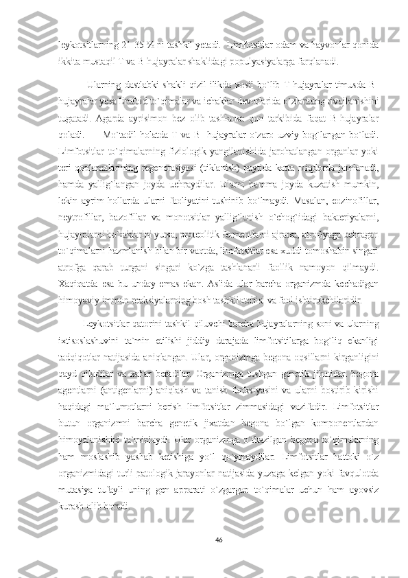 leykotsitlarning 21-35 % ni tashkil yetadi.  Limfotsitlar odam va hayvonlar qonida
ikkita mustaqil T va B hujayralar shaklidagi populyasiyalarga farqlanadi. 
                Ularning   dastlabki   shakli   qizil   ilikda   xosil   bo`lib   T-hujayralar   timusda   B-
hujayralar yesa limfoid to`qimalar va ichaklar devorlarida o`zlarining rivojlanishini
tugatadi.   Agarda   ayrisimon   bez   olib   tashlansa   qon   tarkibida   faqat   B-hujayralar
qoladi.           Mo`tadil   holatda   T   va   B-   hujayralar   o`zaro   uzviy   bog`langan   bo`ladi.
Limfotsitlar   to`qimalarning   fiziologik   yangilanishida   jarohatlangan   organlar   yoki
teri   qoplamalarining   regenerasiyasi   (tiklanish)   paytida   katta   miqdorda   jamlanadi,
hamda   yallig`langan   joyda   uchraydilar.   Ularni   hamma   joyda   kuzatish   mumkin,
lekin   ayrim   hollarda   ularni   faoliyatini   tushinib   bo`lmaydi.   Masalan,   eozinofillar,
neytrofillar,   bazofillar   va   monotsitlar   yallig`lanish   o`chog`idagi   bakteriyalarni,
hujayralarni bo`laklarini yutsa, proteolitik fermentlarni ajratsa, atrofiyaga uchragan
to`qimalarni hazmlanish bilan bir vaqtda, limfotsitlar esa xuddi tomoshabin singari
atrofga   qarab   turgani   singari   ko`zga   tashlanarli   faollik   namoyon   qilmaydi.
Xaqiqatda   esa   bu   unday   emas   ekan.   Aslida   ular   barcha   organizmda   kechadigan
himoyaviy immun reaksiyalarning bosh tashkilotchisi va faol ishtirokchilaridir.
                Leykotsitlar qatorini tashkil qiluvchi barcha hujayralarning soni va ularning
ixtisoslashuvini   ta`min   etilishi   jiddiy   darajada   limfotsitilarga   bog`liq   ekanligi
tadqiqotlar   natijasida   aniqlangan.   Ular,  organizmga   begona  oqsillarni   kirganligini
qayd   qiladilar   va   xabar   beradilar.   Organizmga   tushgan   genetik   jihatidan   begona
agentlarni   (antigenlarni)   aniqlash   va   tanish   funksiyasini   va   ularni   bostirib   kirishi
haqidagi   ma`lumotlarni   berish   limfotsitlar   zimmasidagi   vazifadir.   Limfotsitlar
butun   organizmni   barcha   genetik   jixatdan   begona   bo`lgan   komponentlardan
himoyalanishini   ta`minlaydi.   Ular   organizmga   o`tkazilgan   begona   to`qimalarning
ham   moslashib   yashab   ketishiga   yo`l   qo`ymaydilar.   Limfotsitlar   hattoki   o`z
organizmidagi  turli patologik jarayonlar  natijasida yuzaga kelgan yoki favqulotda
mutasiya   tufayli   uning   gen   apparati   o`zgargan   to`qimalar   uchun   ham   ayovsiz
kurash olib boradi.
46 