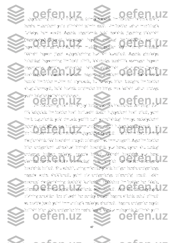 Hujayralarning   bo`linish   o`chog`ida   doimiy   ravishda   limfotsitlarni   ishtirok   etishi,
barcha   mutantlarni   yo`q   qilinishini   ta`min   etadi.   Limfotsitlar   uchun   morfologik
funksiya   ham   xosdir.   Agarda   organizmda   jadal   ravishda   jigarning   tiklanishi
(regenrasiya)   jarayoni   ketayotgan   hayvon   qonidagi   limfotsitlarni,   sog`lom
hayvonlar   qoniga   kiritilsa,ma`lum   muddat   o`tgandan   keyin   normal   holatdagi
ikkinchi   hayvon   jigari   xujayralarining   buzilishi   kuzatiladi.   Agarda   gipoksiya
holatidagi   hayvonning   limfotsiti   olinib,   kislorodga   taqchillik   sezmagan   hayvon
organizmiga   kritilsa   eritrositlar   ishlab   chiqarilishi   uchun   stimullyasiya
boshlanganini   kozatish   mumkin.   Begona   to`qimalarni   chiqarib   tashlanishida
hattoki   limfoitlar   muhim   rol   o`ynasada,   bu   funksiya   bilan   faqatgina   limfotsitlar
shug`ullanmaydi,   balki   hozirda   to`qimalar   bir-biriga   mos   kelishi   uchun   o`ttizga
yaqin belgilar bo`lishi aniqlangan.
        Limfotsitlarning hosil bo`lish joyi bo`lib qizil ilik hisoblanadi. Aniqrog`i qizil
ilik   kelajakda   limfotsitlar   hosil   bo`luvchi   dastali   hujayralarni   hosil   qiladi,   ya`ni
limfa   tugunlarida   yoki   timusda   yetilib   turli   yo`nalishdagi   himoya   reaksiyalarini
bajarish   qobilyatiga   ega   bo`lgan   immunokomponentli   hujayralarga   aylanadi.   Har
bir limfotsit immunokomponentli hujayralarga aylanadi.  Har bir limfotsit o`zining
rivojlanishida ikki bosqichni o`taydi: tolerogenli va immunogenli. Agar limfotsitlar
bilan   antigenlarni   uchrashuvi   birinchi   bosqichda   yuz   bersa,   aynan   shu   turdagi
antigenga   bo`lgan   reaksiya-   negativ   bo`ladi,   ikkinchi   bosqichda   yuz   bersa
aksincha-pozitiv   bo`ladi.   Homiladagi   juda   ko`plab   limfotsitlar   tolerogenli
bosqichda bo`ladi. Shu sababli, uning mikrodunyosida bo`lgan barcha antigenlarga
negativ   xotira   shakllanadi,   ya`ni   o`z   antigenlariga   tolerantligi   ortadi.   Lekin
postnatal   rivojlanishning   dastlabki   kunlaridan   boshlaboq   limfotsitlar   har   ikkala,
tolerantli   va   immunogenli   bosqichlarda   xam   bo`ladi.   Ana   shundan   keyingina
o`zining tanasidan farq qiluvchi har qanday antigen begona sifatida qabul qilinadi
va  pozitiv  javob  ya`ni   immunologik  reaksiya   chaqiradi.  Begona  antigenlar  paydo
bo`lishi   bilan   o`sha   antigenlar   bir   necha   kecha-kunduz  mobaynida   bo`linish   yo`li
47 