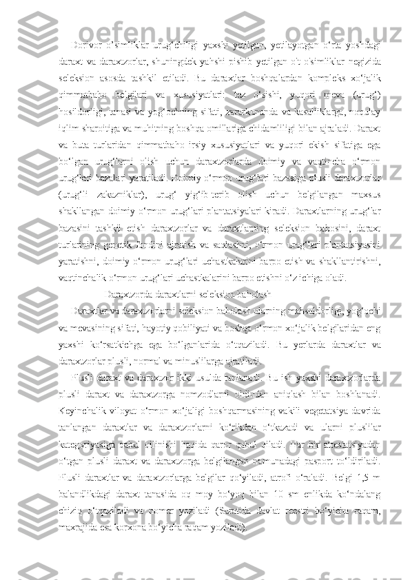 Dorivor   o ’ simliklar   urug ‘ chiligi   yaxshi   yetilgan ,   yetilayotgan   o ‘ rta   yoshdagi
daraxt   va   daraxtzorlar ,   shuningdek   yahshi   pishib   yetilgan   o ' t   o ' simliklar   negizida
seleksion   asosda   tashkil   etiladi .   Bu   daraxtlar   boshqalardan   kompleks   xo‘jalik
qimmatbaho   belgilari   va   xususiyatlari:   tez   o‘sishi,   yuqori   meva   (urug‘)
hosildorligi,   tanasi   va   yog‘ochning   sifati,   zararkunanda   va   kasalliklarga,   noqulay
iqlim sharoitiga va muhitning boshqa omillariga chidamliligi bilan ajraladi. Daraxt
va   buta   turlaridan   qimmatbaho   irsiy   xususiyatlari   va   yuqori   ekish   sifatiga   ega
bo‘lgan   urug‘larni   olish   uchun   daraxtzorlarda   doimiy   va   vaqtincha   o‘rmon
urug‘lari bazalari yaratiladi. Doimiy o‘rmon urug‘lari bazasiga plusli daraxtzorlar
(urug‘li   zakazniklar),   urug‘   yig‘ib-terib   olish   uchun   belgilangan   maxsus
shakllangan doimiy o‘rmon urug‘lari plantatsiyalari kiradi. Daraxtlarning urug‘lar
bazasini   tashkil   etish   daraxtzorlar   va   daraxtlarning   seleksion   bahosini,   daraxt
turlarining   genetik   fondini   ajratish   va   saqlashni,   o‘rmon   urug‘lari   plantatsiyasini
yaratishni, doimiy o‘rmon urug‘lari  uchastkalarini  barpo etish va shakllantirishni,
vaqtinchalik o‘rmon urug‘lari uchastkalarini barpo etishni o‘z ichiga oladi.
Daraxtzorda daraxtlarni seleksion baholash
Daraxtlar va daraxtzorlarni seleksion baholash ularning mahsuldorligi, yog‘ochi
va mevasining sifati, hayotiy qobiliyati va boshqa o‘rmon xo‘jalik belgilaridan eng
yaxshi   ko‘rsatkichga   ega   bo‘lganlarida   o‘tqaziladi.   Bu   yerlarda   daraxtlar   va
daraxtzorlar plusli, normal va minuslilarga ajratiladi.
Plusli   daraxt   va   daraxtzor   ikki   usulda   tanlanadi.   Bu   ish   yaxshi   daraxtzorlarda
plusli   daraxt   va   daraxtzorga   nomzodlarni   oldindan   aniqlash   bilan   boshlanadi.
Keyinchalik   viloyat   o‘rmon   xo‘jaligi   boshqarmasining   vakili   vegetatsiya   davrida
tanlangan   daraxtlar   va   daraxtzorlarni   ko‘rikdan   o‘tkazadi   va   ularni   pluslilar
kategoriyasiga   qabul   qilinishi   haqida   qaror   qabul   qiladi.   Har   bir   attestatsiyadan
o‘tgan   plusli   daraxt   va   daraxtzorga   belgilangan   namunadagi   pasport   to‘ldiriladi.
Plusli   daraxtlar   va   daraxtzorlarga   belgilar   qo‘yiladi,   atrofi   o‘raladi.   Belgi   1,5   m
balandlikdagi   daraxt   tanasida   oq   moy   bo‘yoq   bilan   10   sm   enlikda   ko‘ndalang
chiziq   o‘tqaziladi   va   nomer   yoziladi   (Suratida   davlat   reestri   bo‘yicha   raqam,
maxrajida esa korxona bo‘yicha raqam yoziladi). 