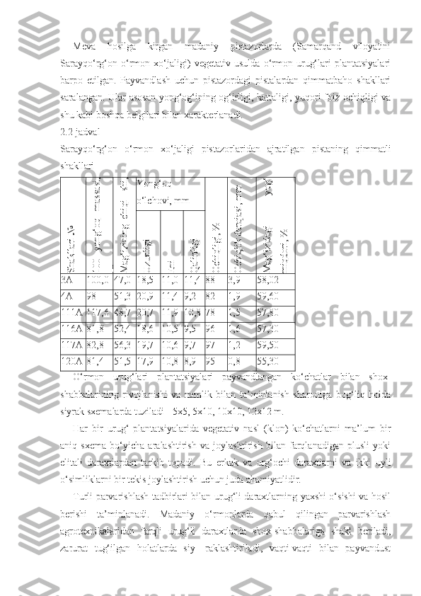 Meva   hosilga   kirgan   madaniy   pistazorlarda   (Samarqand   viloyatini
Sarayqo‘rg‘on   o‘rmon   xo‘jaligi)   vegetativ   usulda   o‘rmon   urug‘lari   plantatsiyalari
barpo   etilgan.   Payvandlash   uchun   pistazordagi   pistalardan   qimmatbaho   shakllari
saralangan. Ular asosan yong‘og‘ining og‘irligi, kattaligi, yuqori foiz ochiqligi va
shu kabi boshqa belgilari bilan xarakterlanadi.
2.2-jadval
Sarayqo‘rg‘on   o‘rmon   xo‘jaligi   pistazorlaridan   ajratilgan   pistaning   qimmatli
shakllariShakllari №	
100
 yong‘oq
 m
assasi,	
gr	M
ag‘izining chiqi- shi,	
%
Yong‘oq
o‘lchovi, mm	O
chiqligi, %	
O
chiqlik darajasi, m
m	
M
ag‘izidagi
 
yog‘	
m
iqdori, %	
U
zunligi	
Eni	
Q
alinligi
3A 100,0 47,0 18,5 11,0 11,4 88 3,9 58,02
4A 98 51,3 20,9 11,4 9,2 82 1,9 59,60
111A 117,6 48,7 20,7 11,9 10,8 78 1,5 57,80
116A 81,8 52,4 18,6 10,5 9,5 96 1,6 57,30
117A 82,8 56,3 19,7 10,6 9,7 97 1,2 59,50
120A 81,4 51,5 17,9 10,8 8,9 95 0,8 55,30
O‘rmon   urug‘lari   plantatsiyalari   payvandlangan   ko‘chatlar   bilan   shox-
shabbalarining   rivojlanishi   va   namlik   bilan   ta’minlanish   sharoitiga   bog‘liq   holda
siyrak sxemalarda tuziladi - 5x5, 5x10, 10x10, 12x12 m.
Har   bir   urug‘   plantatsiyalarida   vegetativ   nasl   (klon)   ko‘chatlarni   ma’lum   bir
aniq   sxema   bo‘yicha   aralashtirish   va   joylashtirish   bilan   farqlanadigan   plusli   yoki
elitali   daraxtlardan   tarkib   topadi.   Bu   erkak   va   urg‘ochi   daraxtlarni   va   ikki   uyli
o‘simliklarni bir tekis joylashtirish uchun juda ahamiyatlidir.
Turli parvarishlash tadbirlari bilan urug‘li daraxtlarning yaxshi o‘sishi va hosil
berishi   ta’minlanadi.   Madaniy   o‘rmonlarda   qabul   qilingan   parvarishlash
agrotexnikalaridan   farqli   urug‘li   daraxtlarda   shox-shabbalariga   shakl   beriladi,
zarurat   tug‘ilgan   holatlarda   siy-   raklashtiriladi,   vaqti-vaqti   bilan   payvandust 