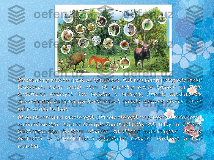 •
Biosferaning tarkibiy qismi bo‘lgan inson, tirik mavjudotlarning oliy shakli 
hisoblanib,  tabiiy  muhit  bilan  bir  paytning  o‘zida  ijtimoiy  va  ruhiy 
muhitlarda  yashaydi.  Shu  boisdan  u  biologik,  ijtimoiy  ruhshunoslik 
qonuniyatlari  bo‘yicha  rivojlanib  boradi  hamda  ularning  doimiy  o‘zaro 
ta’siri ostida bo‘ladi. 
•
Biroq bironta ham sanekologik, ijtimoiy ekologik va psixologik tadqiqotlar 
«umuminsoniga»  tayana  olmaydi.  Faqat  aniq  biologik,  ruhiy  va    ijtimoiy 
belgilarga  ega  bo‘lgan  odamlar  guruhigina  sanekologiya  ijtimoiy 
ekologiya  va  psixoekologiya  fanlarining  tadqiqot  predmeti  bo‘lishi 
mumkin. 
www.arxiv.uz  