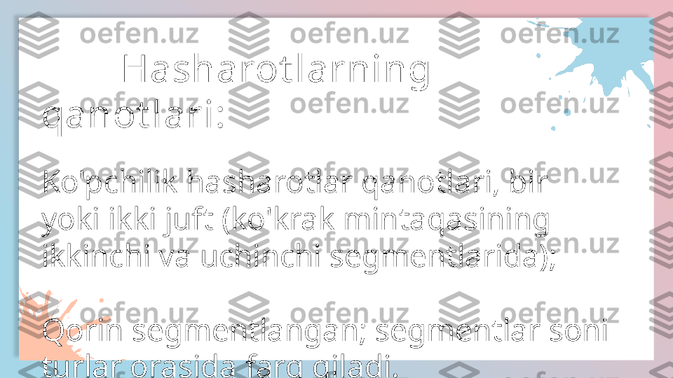 TEXT HERE
TEXT HERE TEXT HERE
TEXT HERE TEXT HERE
TEXT HERE           Hasharot larning 
qanot lari:
Ko'pchilik hasharotlar qanotlari, bir 
yoki ikki juft (ko'krak mintaqasining 
ikkinchi va uchinchi segmentlarida);
Qorin segmentlangan; segmentlar soni 
turlar orasida farq qiladi.  