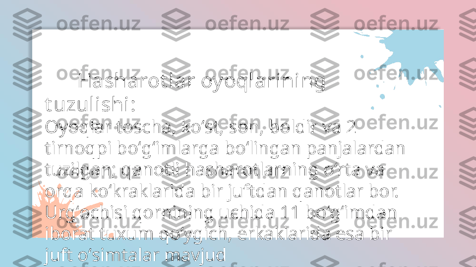 Oyoqlar toscha, ko st, son, boldir va 2 tirnoqpi bo g imlarga bo lingan panjalardan tuzilgan; qanotli ʻ ʻ ʻ ʻ
H.ning o rta va orqa ko kraklarida bir juftdan qanotlar bor. Urg ochisi qornining uchida 11 bo g imdan 	
ʻ ʻ ʻ ʻ ʻ
iborat tuxum qo ygich, erkaklarida esa bir juft o simtalar mavjud	
ʻ ʻ        Hasharot lar oy oqlarining 
t uzulishi:
Oyoqlar toscha, koʻst, son, boldir va 2 
tirnoqpi boʻgʻimlarga boʻlingan panjalardan 
tuzilgan; qanotli  hasharotlar ning oʻrta va 
orqa koʻkraklarida bir juftdan qanotlar bor. 
Urgʻochisi qornining uchida 11 boʻgʻimdan 
iborat tuxum qoʻygich, erkaklarida esa bir 
juft oʻsimtalar mavjud  