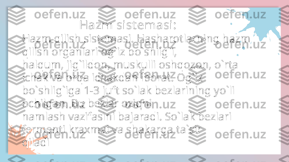                       Hazm sist emasi:
Hazm qilish sistеmasi. Hasharotlarning hazm 
qilish organlari og`iz bo`shlig`i, 
halqum, jig`ildon, muskulli oshqozon, o`rta 
ichak va orqa ichakdan  iborat.  Og`iz 
bo`shlig`iga 1-3 juft so`lak bеzlarining yo`li 
ochilgan. Bu bеzlar oziqni 
namlash vazifasini bajaradi. So`lak bеzlari 
fеrmеnti kraxmal va shakarga ta`sir 
qiladi  