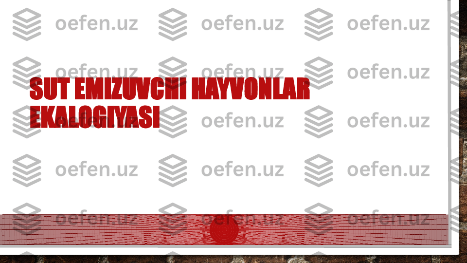 SUT EMIZUVCHI HAYVONLAR 
EKALOGIYASI  