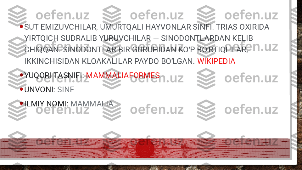 • SUT EMIZUVCHILAR, UMURTQALI HAYVONLAR SINFI. TRIAS OXIRIDA 
YIRTQICH SUDRALIB YURUVCHILAR — SINODONTLARDAN KELIB 
CHIQQAN. SINODONTLAR BIR GURUHIDAN KO P BO RTIQLILAR, ʻ ʻ
IKKINCHISIDAN KLOAKALILAR PAYDO BO LGAN. 	
ʻ WIKIPEDIA
• YUQORI TASNIFI:  MAMMALIAFORMES
• UNVONI:  SINF
• ILMIY NOMI:  MAMMALIA  