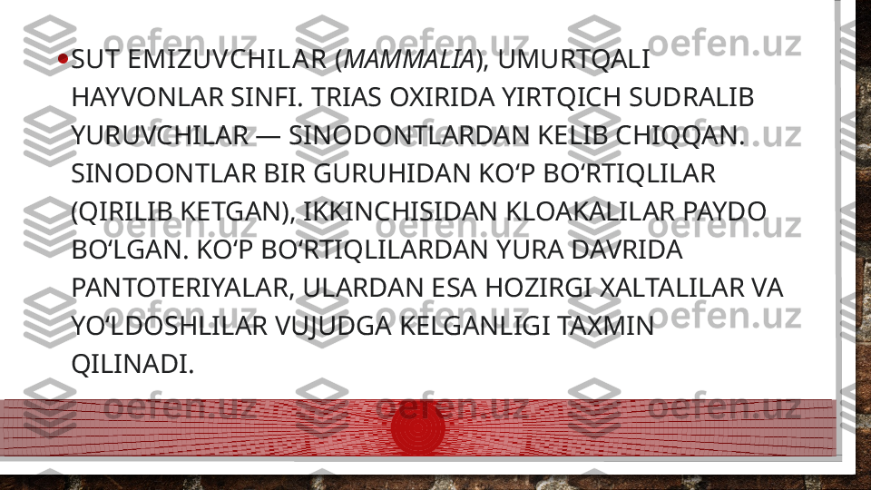 • SUT EMI ZUVCHI LA R  ( MAMMALIA ), UMURTQALI 
HAYVONLAR SINFI. TRIAS OXIRIDA YIRTQICH SUDRALIB 
YURUVCHILAR — SINODONTLARDAN KELIB CHIQQAN. 
SINODONTLAR BIR GURUHIDAN KOʻP BOʻRTIQLILAR 
(QIRILIB KETGAN), IKKINCHISIDAN KLOAKALILAR PAYDO 
BOʻLGAN. KOʻP BOʻRTIQLILARDAN YURA DAVRIDA 
PANTOTERIYALAR, ULARDAN ESA HOZIRGI XALTALILAR VA 
YOʻLDOSHLILAR VUJUDGA KELGANLIGI TAXMIN 
QILINADI.  