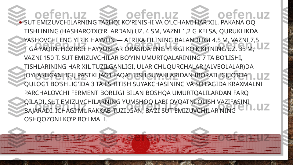 • SUT EMIZUVCHILARNING TASHQI KOʻRINISHI VA OʻLCHAMI HAR XIL. PAKANA OQ 
TISHLINING (HASHAROTXOʻRLARDAN) UZ. 4 SM, VAZNI 1,2 G KELSA, QURUKLIKDA 
YASHOVCHI ENG YIRIK HAYVON — AFRIKA FILINING BALANDLIGI 4,5 M, VAZNI 7,5 
T GA YAQIN. HOZIRGI HAYVONLAR ORASIDA ENG YIRIGI KOʻK KITNING UZ. 33 M, 
VAZNI 150 T. SUT EMIZUVCHILAR BOʻYIN UMURTQALARINING 7 TA BOʻLISHI, 
TISHLARINING HAR XIL TUZILGANLIGI, ULAR CHUQURCHALAR (ALVEOLALAR)DA 
JOYLASHGANLIGI, PASTKI JAGʻI FAQAT TISH SUYAKLARIDAN IBORATLIGI, OʻRTA 
QULOGʻI BOʻSHLIGʻIDA 3 TA ESHITISH SUYAKCHASINING VA SOʻLAGIDA KRAXMALNI 
PARCHALOVCHI FERMENT BORLIGI BILAN BOSHQA UMURTQALILARDAN FARQ 
QILADI. SUT EMIZUVCHILARNING YUMSHOQ LABI OVQATNI OLISH VAZIFASINI 
BAJARADI. ICHAGI MURAKKAB TUZILGAN, BAʼZI SUT EMIZUVCHILAR NING 
OSHQOZONI KOʻP BOʻLMALI.  