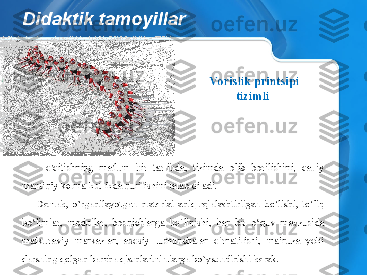 Didaktik tamoyillar
-  o'qitishning  ma'lum  bir  tartibda,  tizimda  olib  borilishini,  qat'iy 
mantiqiy ketma-ketlikda qurilishini talab qiladi.
Demak,  o‘rganilayotgan  material  aniq  rejalashtirilgan  bo‘lishi,  to‘liq 
bo‘limlar,  modullar,  bosqichlarga  bo‘linishi,  har  bir  o‘quv  mavzusida 
mafkuraviy  markazlar,  asosiy  tushunchalar  o‘rnatilishi,  ma’ruza  yoki 
darsning qolgan barcha qismlarini ularga bo‘ysundirishi kerak. Vorislik printsipi
tizimli    