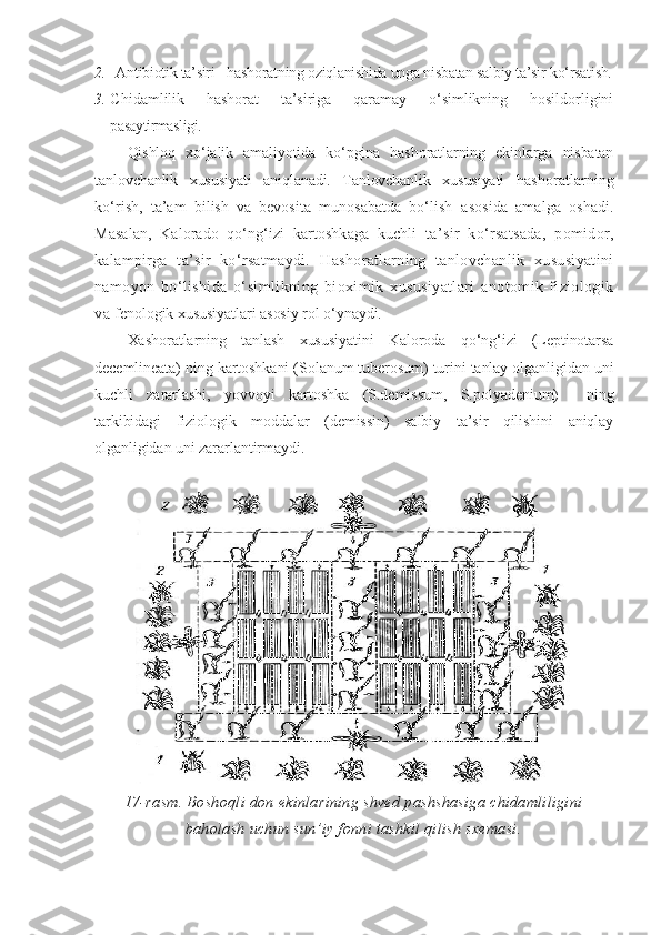 2. Antibiotik ta’siri - hashoratning oziqlanishida unga nisbatan salbiy ta’sir ko‘rsatish.
3. C h idamlilik   hashorat   ta’siriga   qaramay   o‘simlikning   hosildorligini
pasaytirmasligi.
Qishloq   xo‘jalik   amaliyotida   ko‘pgina   hashoratlarning   ekinlarga   nisbatan
tanlovchanlik   xususiyati   aniqlanadi.   Tanlovchanlik   xususiyati   hashoratlarning
ko‘rish,   ta’am   bilish   va   bevosita   munosabatda   bo‘lish   asosida   amalga   oshadi.
Masalan,   Kalorado   qo‘ng‘izi   kartoshkaga   kuchli   ta’sir   ko‘rsatsada,   pomidor,
kalampirga   ta’sir   ko‘rsatmaydi.   Hashoratlarning   tanlovchanlik   xususiyatini
namoyon   bo‘lishida   o‘ simlikning   bioximik   xususiyatlari   anotomik-fiziologik
va  fenologik xususiyatlari asosiy rol o‘ynaydi.
Xashoratlarning   tanlash   xususiyatini   Kaloroda   qo‘ng‘izi   (Leptinotarsa
decemlineata) ning kartoshkani (Solanum tuberosum) turini tanlay olganligidan uni
kuchli   zararlashi,   yovvoyi   kartoshka   (S.demissum,   S.polyadenium)     ning
tarkibidagi   fiziologik   moddalar   (demissin)   salbiy   ta’sir   qilishini   aniqlay
olganligidan uni zararlantirmaydi.
17-rasm. Boshoqli don ekinlarining shved pashshasiga chidamliligini
baholash uchun sun’iy fonni tashkil qilish sxemasi. 