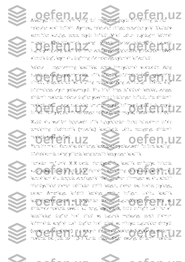 Aksariyat   hollarda   o‘simlikning   faol   immuniteti   paydo   bo‘lishining   dalolati     -
nekrozlar   xosil   bo‘lishi.   Ayniqsa,   nekrozlar   obligat   parazitlar   yoki   fakultativ
saprofitlar   xurujiga   qarata   paydo   bo‘ladi.   Misol   uchun   quyidagini   keltirish
mumkin.   Respublikamizda   oxirgi   yillarda   tez-tez   takrorlanib   turuvchi
bug‘doyning zang kasalliklari bilan zararlangan barglarda zang pustulasini avval
xlorotik dog‘, keyin shu dog‘ning o‘zi nekrozga aylanishi ko‘zatiladi.
Nekroz   –   organizmning   kasallikka   qarata   himoyalanish   vositasidir.   Zang
pustulasi,   ilgari   aytganimizdek,   o‘lik   o‘simlik   to‘qimalari   bilan   aylantirilib
olinadi,   chegaralanadi   va   shuning   natijasida   zang   zamburug‘i   boshqa   sog‘
to‘qimalarga   ziyon   yetkazmaydi.   Shu   bilan   birga   ta’kidlash   kerakki,   zangga
chidamli   navlarda   nekroz   dog‘lar   yaxshiroq   ifodalangan   bo‘ladi,   o‘ta   chidamli
navlarda   esa   –   zang   pustulalar   umuman   paydo   bo‘lmaydi   yoki   juda   mayda
bo‘ladi. Tabiiyki, ularni o‘rab turgan nekrozlar ham mayda, nuqtasimon bo‘ladi.
Xuddi   shu   vazifani   bajaruvchi   o‘lik   hujayralardan   iborat   halqasimon   to‘siq
tamakining   olachiporlik   (mozaika)   kasalligida   ushbu   patogenga   chidamli
navlarda paydo bo‘ladi.
Yana bir misol. Kartoshka ekinlariga katta talafot yetkazuvchi fitoftora kasalligi.
O‘zbekistonda oxirgi yillarda keng tarqalib ketayotgan kasallik.
Tarixdan   ma’lumki   XIX   asrda   Irlandiyada   bu   kasallik   epifitotiya   holatida
surunkasiga   qator   yillarda   takrorlanishi   odamlarning   asosiy   ozuqasi   bo‘lmish
kartoshkani   shu  darajada  zararlaganki   hosil  umuman  olinmagan va  shu  sababli
irlandiyaliklar   qisman   ochlikdan   qirilib   ketgan,   qisman   esa   boshqa   joylarga,
asosan   Amerikaga   ko‘chib   ketishga   majbur   bo‘lgan.   Ushbu   kasallik
kartoshkaning   tanasi   va   barglaridan   tashqari   tugunaklarga   ham   o‘tadi   va
chidamsiz   navlarda   avvalo   kul   rang,   keyinchalik,   botiq   qo‘ng‘ir   tusli   har   xil
kattalikdagi   dog‘lar   hosil   qiladi   va   tugunak   markaziga   qarab   tilsimon
ko‘rinishda   sarg‘ish   tusli   dog‘lar   hosil   qiladi   va   nihoyat   tugunaklar   chiriydi
(asosan,   quruq   chirish).   Bu   jarayon   chidamsiz   navlarda   5-7   kunda,   chidamli
navlarda   esa   juda   tez-   1,5-2   kunda   o‘tadi.   Shuni   evaziga   chidamli   navlarda 