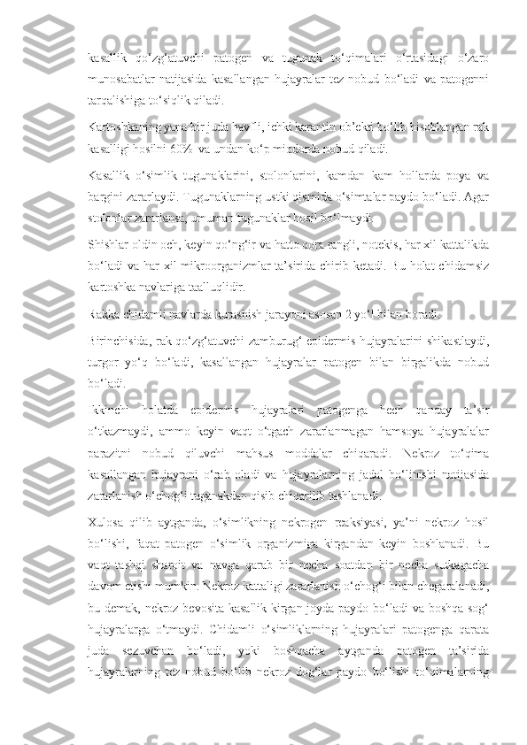 kasallik   qo‘zg‘atuvchi   patogen   va   tugunak   to‘qimalari   o‘rtasidagi   o‘zaro
munosabatlar   natijasida   kasallangan   hujayralar   tez   nobud   bo‘ladi   va   patogenni
tarqalishiga to‘siqlik qiladi.
Kartoshkaning yana bir juda havfli, ichki karantin ob’ekti bo‘lib hisoblangan rak
kasalligi hosilni 60%  va undan ko‘p miqdorda nobud qiladi.
Kasallik   o‘simlik   tugunaklarini,   stolonlarini,   kamdan   kam   hollarda   poya   va
bargini zararlaydi. Tugunaklarning ustki qismida o‘simtalar paydo bo‘ladi. Agar
stolonlar zararlansa, umuman tugunaklar hosil bo‘lmaydi. 
Shishlar oldin och, keyin qo‘ng‘ir va hatto qora rangli, notekis, har xil kattalikda
bo‘ladi   va  har   xil  mikroorganizmlar  ta’sirida  chirib  ketadi. Bu  holat   chidamsiz
kartoshka navlariga taalluqlidir.
Rakka chidamli navlarda kurashish jarayoni asosan 2 yo‘l bilan boradi.
Birinchisida, rak qo‘zg‘atuvchi  zamburug‘ epidermis hujayralarini shikastlaydi,
turgor   yo‘q   bo‘ladi,   kasallangan   hujayralar   patogen   bilan   birgalikda   nobud
bo‘ladi.  
Ikkinchi   holatda   epidermis   hujayralari   patogenga   hech   qanday   ta’sir
o‘tkazmaydi,   ammo   keyin   vaqt   o‘tgach   zararlanmagan   hamsoya   hujayralalar
parazitni   nobud   qiluvchi   mahsus   moddalar   chiqaradi.   Nekroz   to‘qima
kasallangan   hujayrani   o‘rab   oladi   va   hujayralarning   jadal   bo‘linishi   natijasida
zararlanish o‘chog‘i tuganakdan qisib chiqarilib tashlanadi.
Xulosa   qilib   aytganda,   o‘simlikning   nekrogen   reaksiyasi,   ya’ni   nekroz   hosil
bo‘lishi,   faqat   patogen   o‘simlik   organizmiga   kirgandan   keyin   boshlanadi.   Bu
vaqt   tashqi   sharoit   va   navga   qarab   bir   necha   soatdan   bir   necha   sutkagacha
davom etishi mumkin. Nekroz kattaligi zararlanish o‘chog‘i bilan chegaralanadi,
bu demak, nekroz bevosita kasallik kirgan joyda paydo bo‘ladi va boshqa sog‘
hujayralarga   o‘tmaydi.   Chidamli   o‘simliklarning   hujayralari   patogenga   qarata
juda   sezuvchan   bo‘ladi,   yoki   boshqacha   aytganda   patogen   ta’sirida
hujayralarning   tez   nobud   bo‘lib   nekroz   dog‘lar   paydo   bo‘lishi   to‘qimalarning 