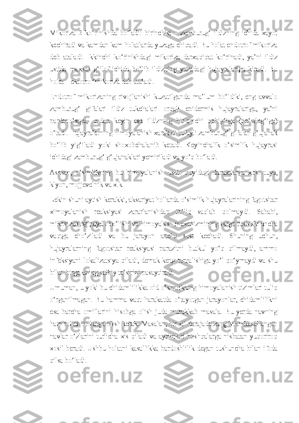 Mikoriza   2   ko‘rinishda   bo‘ladi:   birinchisi   –   zamburug‘   ildizning   ichida   xayot
kechiradi va kamdan kam holatlarda yuzaga chiqadi. Bu holat endotrof mikoriza
deb   ataladi.   Ikkinchi   ko‘rinishdagi   mikoriza   darxaqiqat   ko‘rinadi,   ya’ni   ildiz
ustida   maxsus   g‘ilof   ichida   bo‘lib   ildizning   yuzadagi   hujayralariga   kiradi.   Bu
holat – ektotrof mikoriza deb ataladi.
Endotrof   mikorizaning   rivojlanishi   kuzatilganda   ma’lum   bo‘ldiki,   eng   avvalo
zamburug‘   gifalari   ildiz   tukchalari   orqali   epidermis   hujayralariga,   ya’ni
pardapo‘stga,   undan   keyin   esa   ildizning   birlamchi   qobig‘iga   (po‘stlog‘iga)
o‘tadi. Hujayralarning himoyalanish xarakati tufayli zamburug‘ gifalari g‘ujanak
bo‘lib   yig‘iladi   yoki   shoxobchalanib   ketadi.   Keyinchalik   o‘simlik   hujayrasi
ichidagi zamburug‘ g‘ujanaklari yemiriladi va yo‘q bo‘ladi.
Asosan,   o‘simlikning   bu   himoyalanish   usuli   quyidagi   daraxtlarga   xos:   tuya,
klyon, mojjevelnik va x.k. 
Lekin shuni aytish kerakki, aksariyat hollarda o‘simlik hujayralarining fagotsitar
ximoyalanish   reaksiyasi   zararlanishdan   to‘liq   saqlab   qolmaydi.   Sababi,
mikorizaning paydo bo‘lishi va himoyalash mexanizmining ishga tushishi ancha
vaqtga   cho‘ziladi   va   bu   jarayon   ancha   sust   kechadi.   Shuning   uchun,
hujayralarning   fagotsitar   reaksiyasi   parazitni   butkul   yo‘q   qilmaydi,   ammo
infeksiyani lokalizatsiya qiladi, demak keng tarqalishiga yo‘l qo‘ymaydi va shu
bilan birga uning salbiy ta’sirini pasaytiradi.
Umuman, u yoki bu chidamlilikka oid o‘simlikning himoyalanish tizimlari tuliq
o‘rganilmagan.   Bu   hamma   vaqt   harakatda   o‘tayotgan   jarayonlar,   chidamlilikni
esa   barcha   omillarini   hisobga   olish   juda   murakkab   masala.   Bu   yerda   navning
ham rolini inobatga olish kerak. Masalan, bir xil darajada zang bilan kasallangan
navlar   o‘zlarini   turlicha   xis   qiladi   va   ayrimlari   boshqalarga   nisbatan   yuqoriroq
xosil beradi. Ushbu holatni kasallikka bardoshlilik degan tushuncha bilan ifoda
qilsa bo‘ladi. 