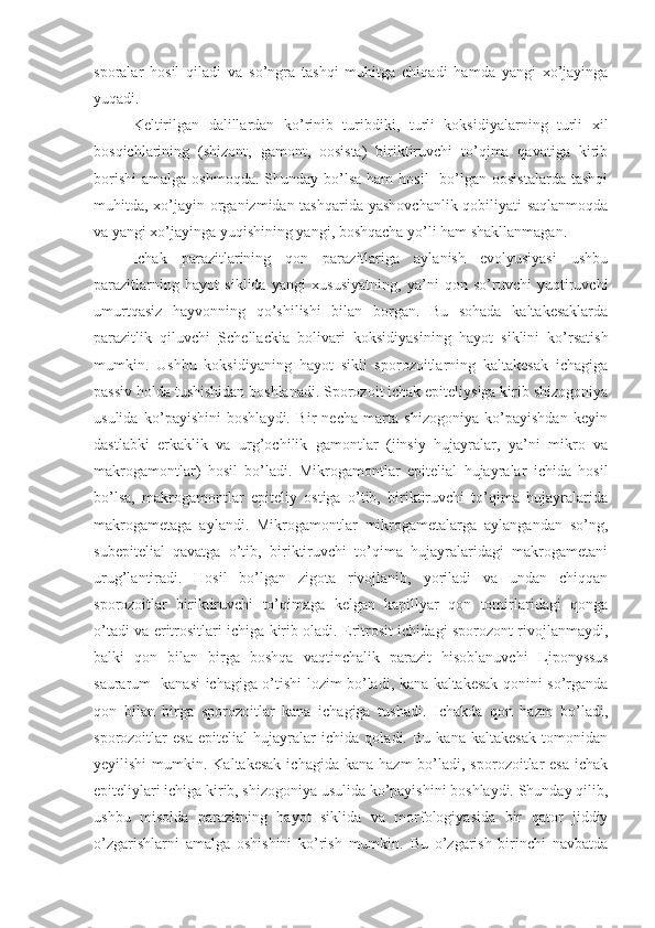 sporalar   hosil   qiladi   va   so’ngra   tashqi   muhitga   chiqadi   hamda   yangi   xo’jayinga
yuqadi. 
Keltirilgan   dalillardan   ko’rinib   turibdiki,   turli   koksidiyalarning   turli   xil
bosqichlarining   (shizont,   gamont,   oosista)   biriktiruvchi   to’qima   qavatiga   kirib
borishi  amalga  oshmoqda.  Shunday  bo’lsa  ham   hosil    bo’lgan oosistalarda   tashqi
muhitda, xo’jayin organizmidan tashqarida yashovchanlik qobiliyati  saqlanmoqda
va yangi xo’jayinga yuqishining yangi, boshqacha yo’li ham shakllanmagan.
Ichak   parazitlarining   qon   parazitlariga   aylanish   evolyusiyasi   ushbu
parazitlarning   hayot   siklida   yangi   xususiyatning,   ya’ni   qon   so’ruvchi   yuqtiruvchi
umurtqasiz   hayvonning   qo’shilishi   bilan   borgan.   Bu   sohada   kaltakesaklarda
parazitlik   qiluvchi   Schellackia   bolivari   koksidiyasining   hayot   siklini   ko’rsatish
mumkin.   Ushbu   koksidiyaning   hayot   sikli   sporozoitlarning   kaltakesak   ichagiga
passiv holda tushishidan boshlanadi. Sporozoit ichak epiteliysiga kirib shizogoniya
usulida   ko’payishini   boshlaydi.   Bir   necha   marta   shizogoniya   ko’payishdan   keyin
dastlabki   erkaklik   va   urg’ochilik   gamontlar   (jinsiy   hujayralar,   ya’ni   mikro   va
makrogamontlar)   hosil   bo’ladi.   Mikrogamontlar   epitelial   hujayralar   ichida   hosil
bo’lsa,   makrogamontlar   epiteliy   ostiga   o’tib,   biriktiruvchi   to’qima   hujayralarida
makrogametaga   aylandi.   Mikrogamontlar   mikrogametalarga   aylangandan   so’ng,
subepitelial   qavatga   o’tib,   biriktiruvchi   to’qima   hujayralaridagi   makrogametani
urug’lantiradi.   Hosil   bo’lgan   zigota   rivojlanib,   yoriladi   va   undan   chiqqan
sporozoitlar   biriktiruvchi   to’qimaga   kelgan   kapillyar   qon   tomirlaridagi   qonga
o’tadi va eritrositlari ichiga kirib oladi. Eritrosit ichidagi sporozont rivojlanmaydi,
balki   qon   bilan   birga   boshqa   vaqtinchalik   parazit   hisoblanuvchi   L iponyssus
saurarum     kanasi ichagiga o’tishi lozim bo’ladi, kana kaltakesak qonini so’rganda
qon   bilan   birga   sporozoitlar   kana   ichagiga   tushadi.   Ichakda   qon   hazm   bo’ladi,
sporozoitlar   esa   epitelial   hujayralar   ichida   qoladi.   Bu   kana   kaltakesak   tomonidan
yeyilishi   mumkin.  Kaltakesak  ichagida  kana  hazm   bo’ladi,  sporozoitlar  esa   ichak
epiteliylari ichiga kirib, shizogoniya usulida ko’payishini boshlaydi. Shunday qilib,
ushbu   misolda   parazitning   hayot   siklida   va   morfologiyasida   bir   qator   jiddiy
o’zgarishlarni   amalga   oshishini   ko’rish   mumkin.   Bu   o’zgarish   birinchi   navbatda 