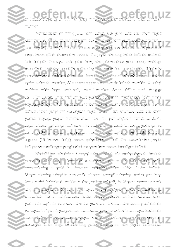 endoparazitlarga   aylanib   borish   jarayonini   nematodalar   orasida   ko’plab   uchratish
mumkin.
Nematodalar   sinfining   juda   ko’p   turlari   suv   yoki   tuproqda   erkin   hayot
kechirishadi.  Ushbu   chuvalchanglarni   tuxumlari  va  lichinkalari  aksariyat   hollarda
juda mayda (1-2 mm) bo’lib, ko’p hollarda oziqa yoki suv bilan xar xil hayvonlarni
ovqat   hazm   qilish   sistemasiga   tushadi.   Bu   joyda   ularning   halok   bo’lishi   ehtimoli
juda   ko’pdir.   Bordiyu   tirik   qolsa   ham,   ular   o’zgarishsiz   yana   tashqi   muhitga
chiqariladi.   Bunday   tasodifiy   xollarning   bir   necha   bor   takrorlanishi   fakultativ
parazitizmning   shakllanishiga   olib   boradi.   Ushbu   holni   Rhabditidae   oilasining
ayrim turlarida, masalan, Aloionema appendiculatum da ko’rish mumkin. U tashqi
muhitda   erkin   hayot   kechiradi,   lekin   lichinkasi   Arion   shilliq   qurti   ichagiga
tasodifan   tushsa,   unda   ma’lum   vaqt   yashab,   oziqlanib,   rivojlanadi,   lekin   jinsiy
voyaga yetmaydi. Buning  uchun u ichakni  tashlab,  tashqi  muhitga chiqishi  lozim
bo’ladi,   lekin   yangi   bir   xususiyatni   paydo   qiladi.   Gap   shundaki   tuproqda   erkin
yashab   voyaga   yetgan   lichinkalardan   hosil   bo’lgan   urg’ochi   nematoda   30-40
tagacha tuxum qiladigan bo’lsa, shilliq qurt ichagida tasodifan tushib yashagan va
tashqi   muhitga   chiqqan   lichinkadan   hosil   bo’lgan   urg’ochi   nematoda   500-600
tagacha   (15   baravar   ko’p)   tuxum   qo’yadigan   bo’ladi.   Bu   tuxumlardan   paydo
bo’lgan va rivojlangan yangi avlod esa yana kam tuxum beradigan bo’ladi.
Rhabditidae   oilasining   Strongyloides     avlodi   o’z   evolyusiyasida   ichakda
parazitlik   bilan   hayot   kechirish   xususiyatini   yanada   chuqurlashtiradi,   ya’ni
nematodaning   u   yoki   bu   bosqichi   parazitlik   bilan   o’tishi   lozim   bo’ladi.
Maymunlarning   ichagida   parazitlik   qiluvchi   strongiloidesning   Ateles   geoffroyi
kenja   turini   lichinkasi   ichakka   tushsa,   nafaqat   o’sadi,   balki   yana   partenogenetik
urg’ochiga   aylanib,   ko’paya   boshlaydi.   Uning   qo’ygan   tuxumlari   tashqariga
chiqariladi. Tashqi muhitda tuxumlardan chiqqan rabditsimon lichinkalardan erkin
yashovchi urg’ochi va erkak individlar yetishadi.  Ushbu individlarning qo’shilishi
va paydo bo’lgan filyariyasimon lichinkalar yana parazitlik bilan hayot kechirishi
lozim   bo’ladi.   Ushbu   turning   hayot   siklida   parazitlik   bilan   hayot   kechirish
xususiyati   bilan   birga   avlodlarning   gallanish   jarayoni   ham   paydo   bo’lmoqda. 